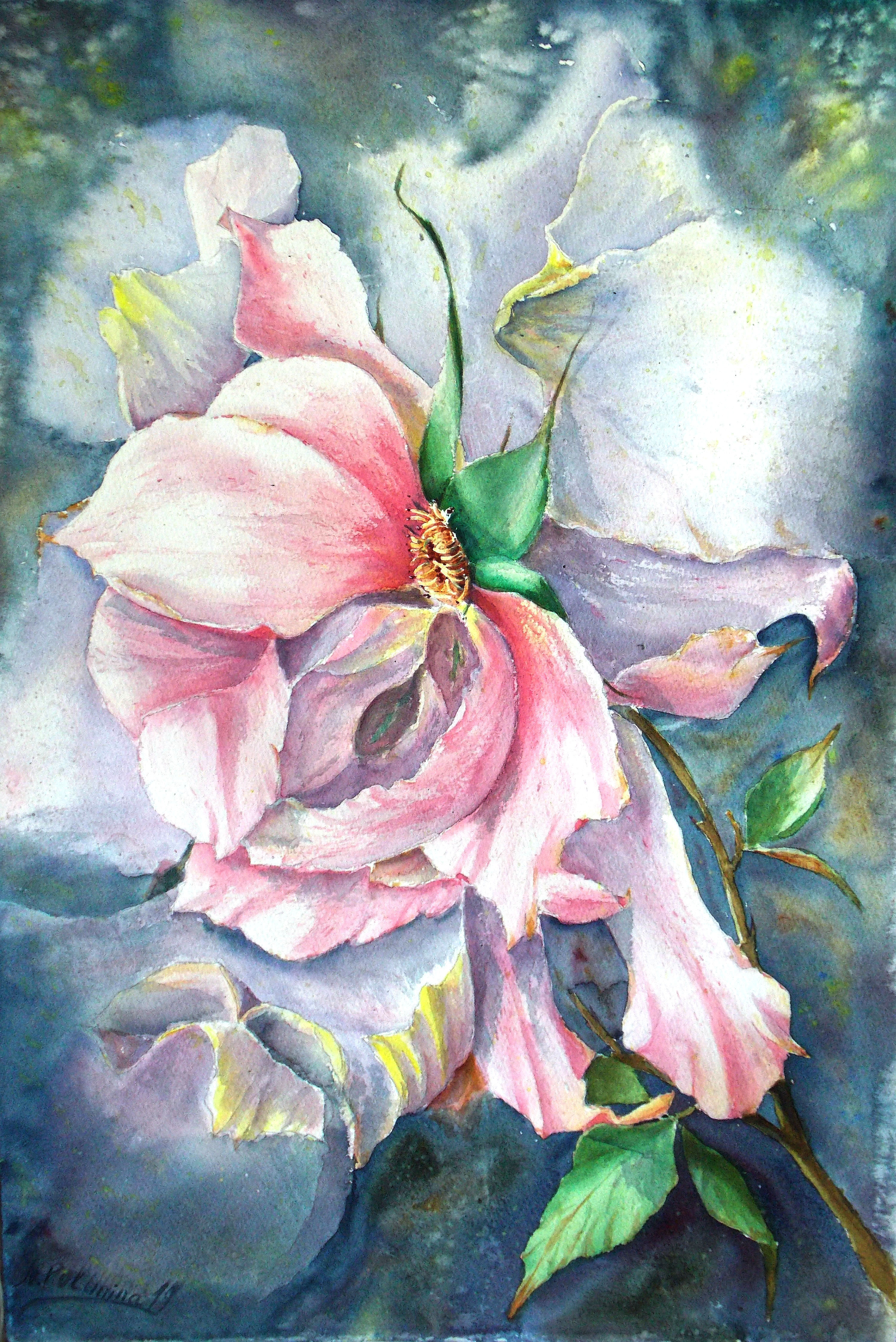 Auyumn rose
