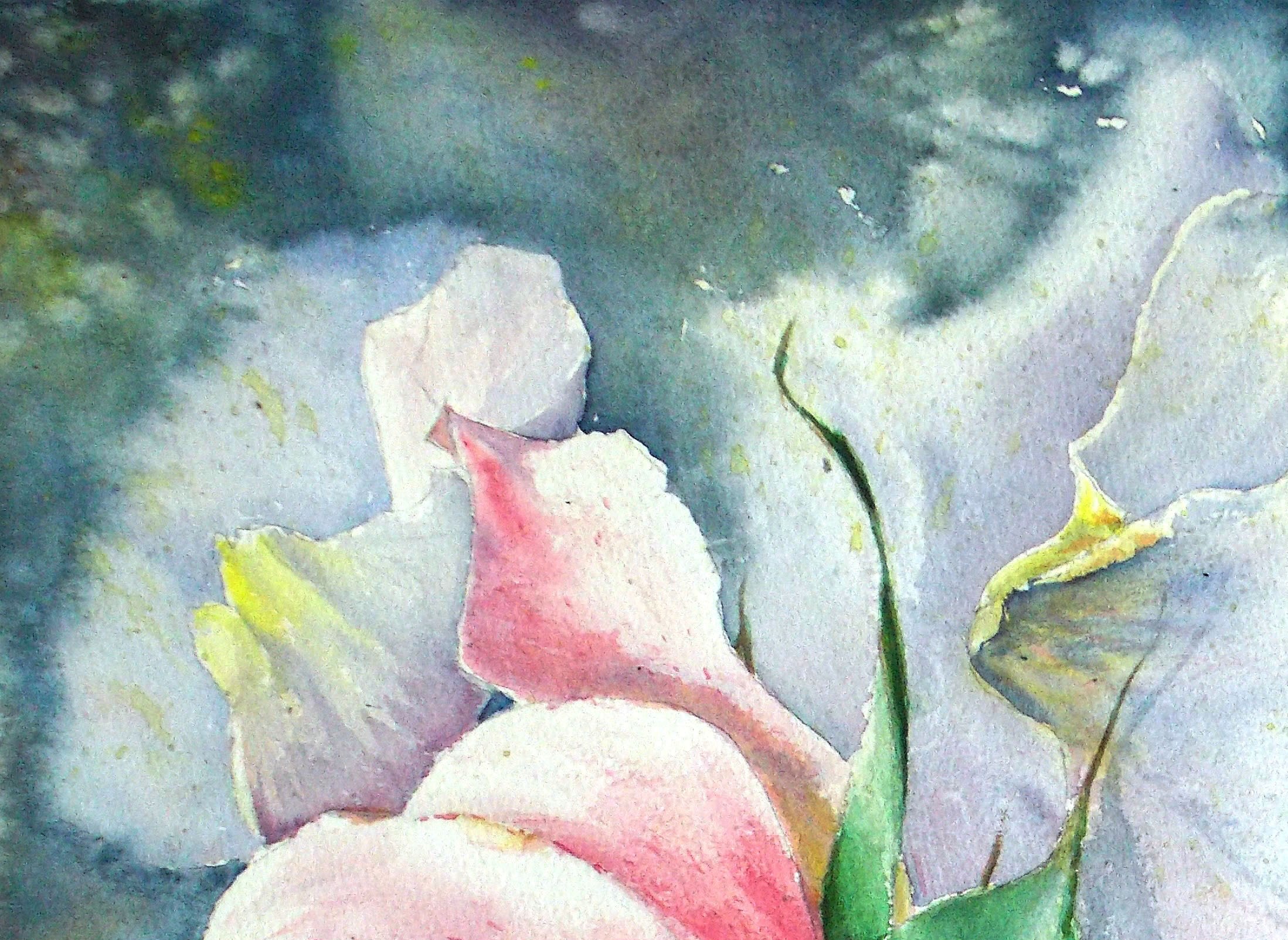 Auyumn rose