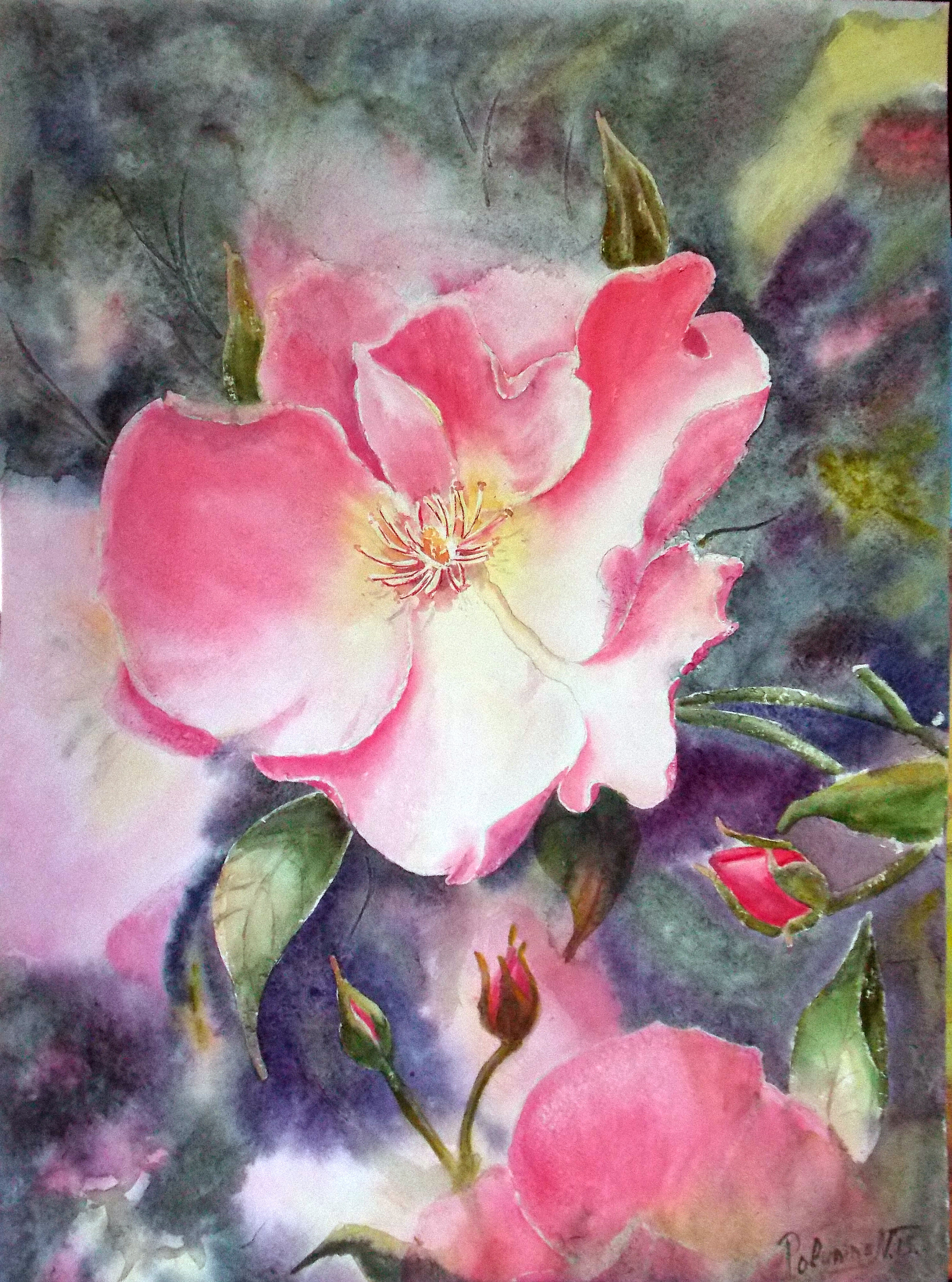 Rosehip