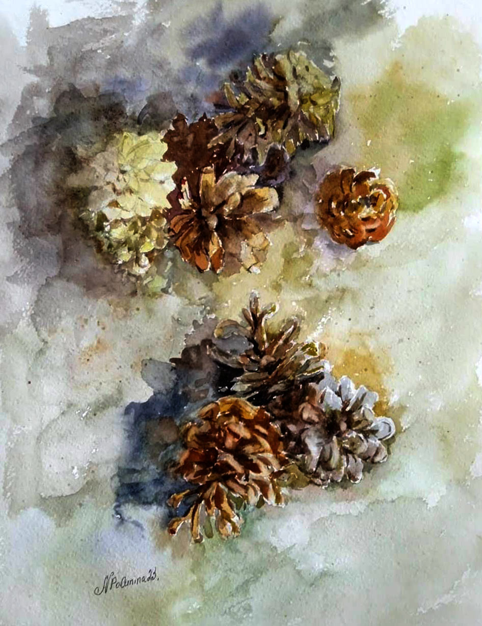 Cones, Fir cones