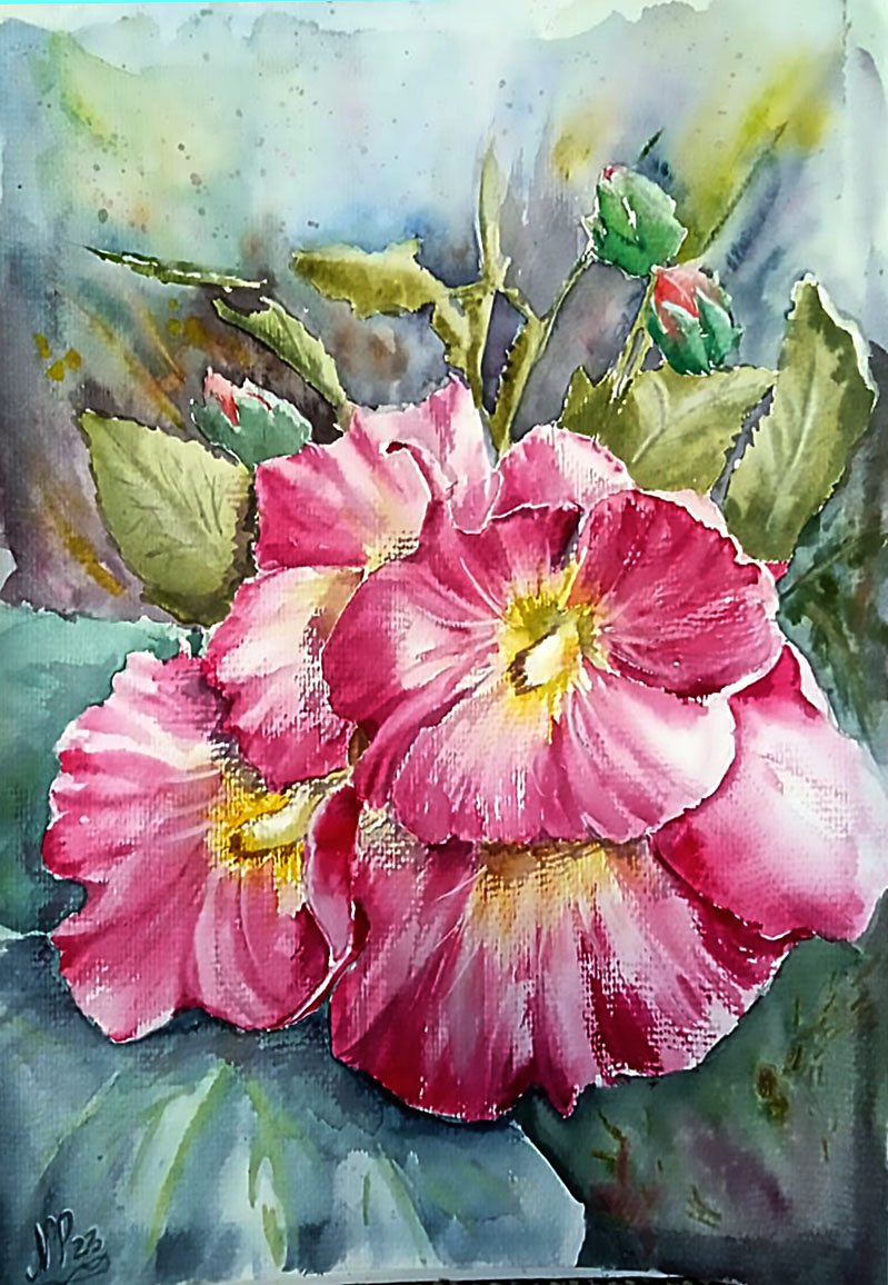 Mallow