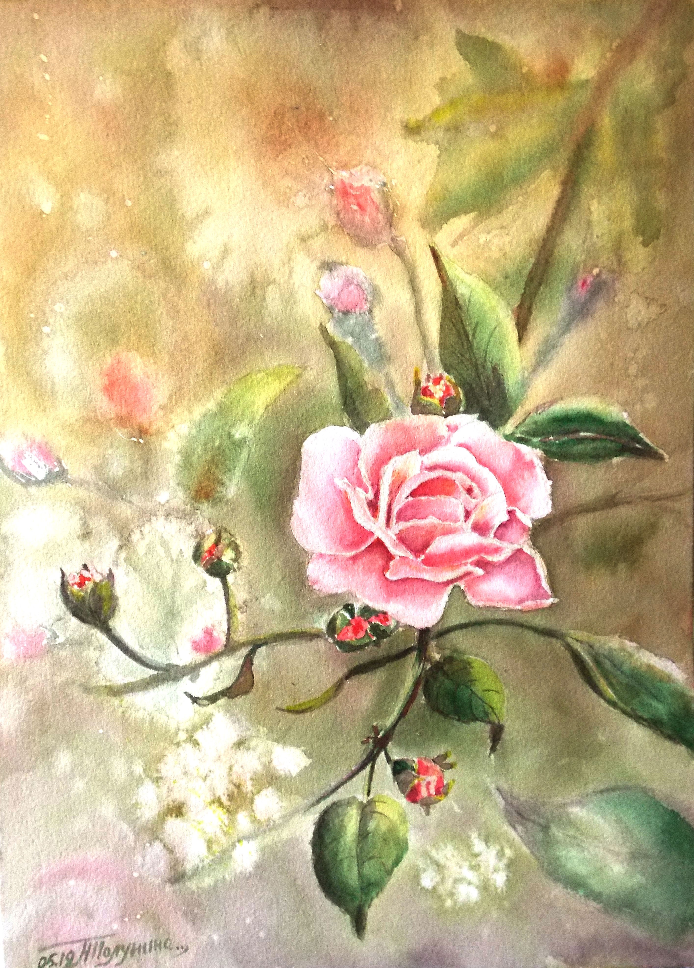 Rose on a branch