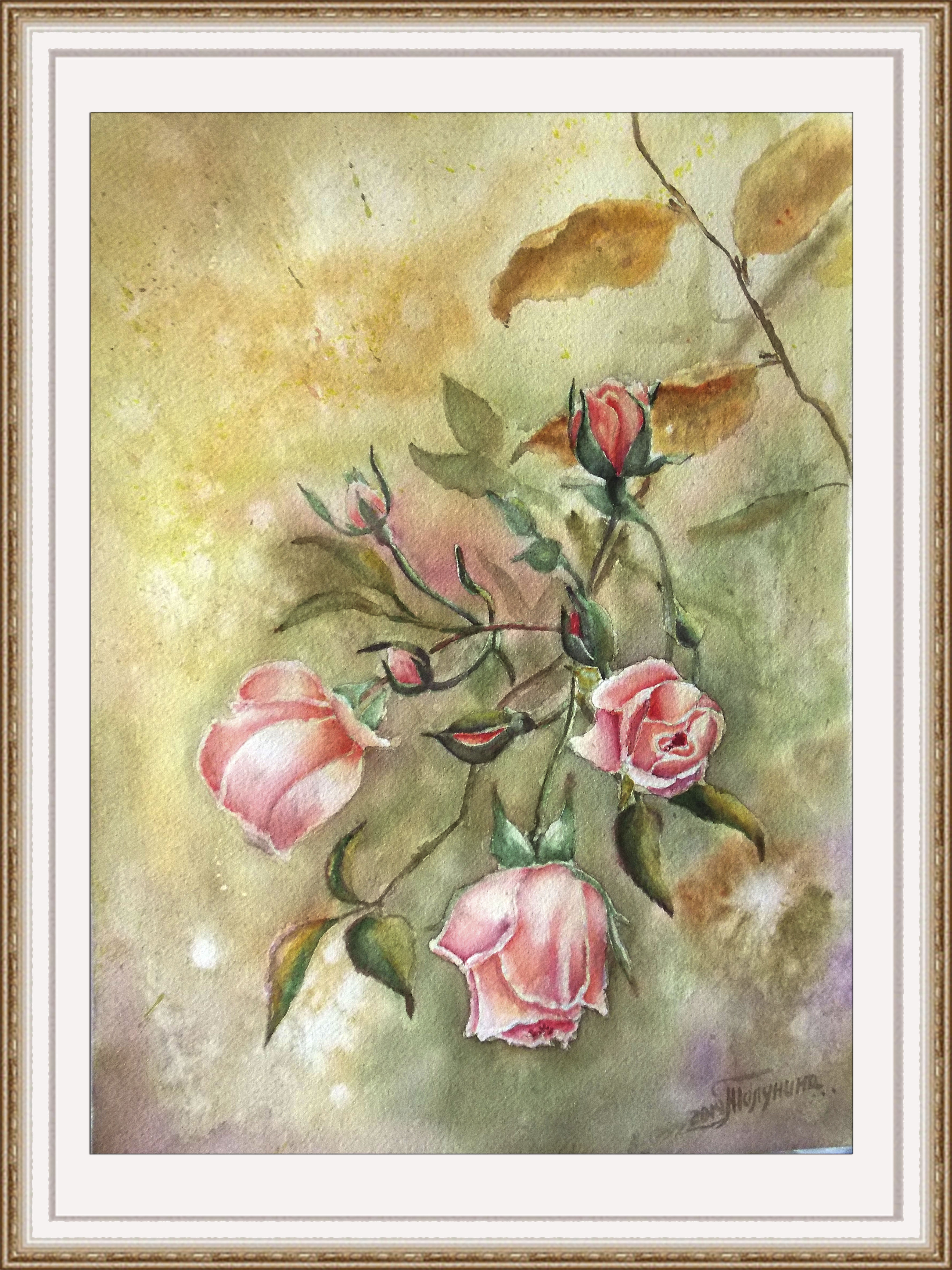 Rose on a branch