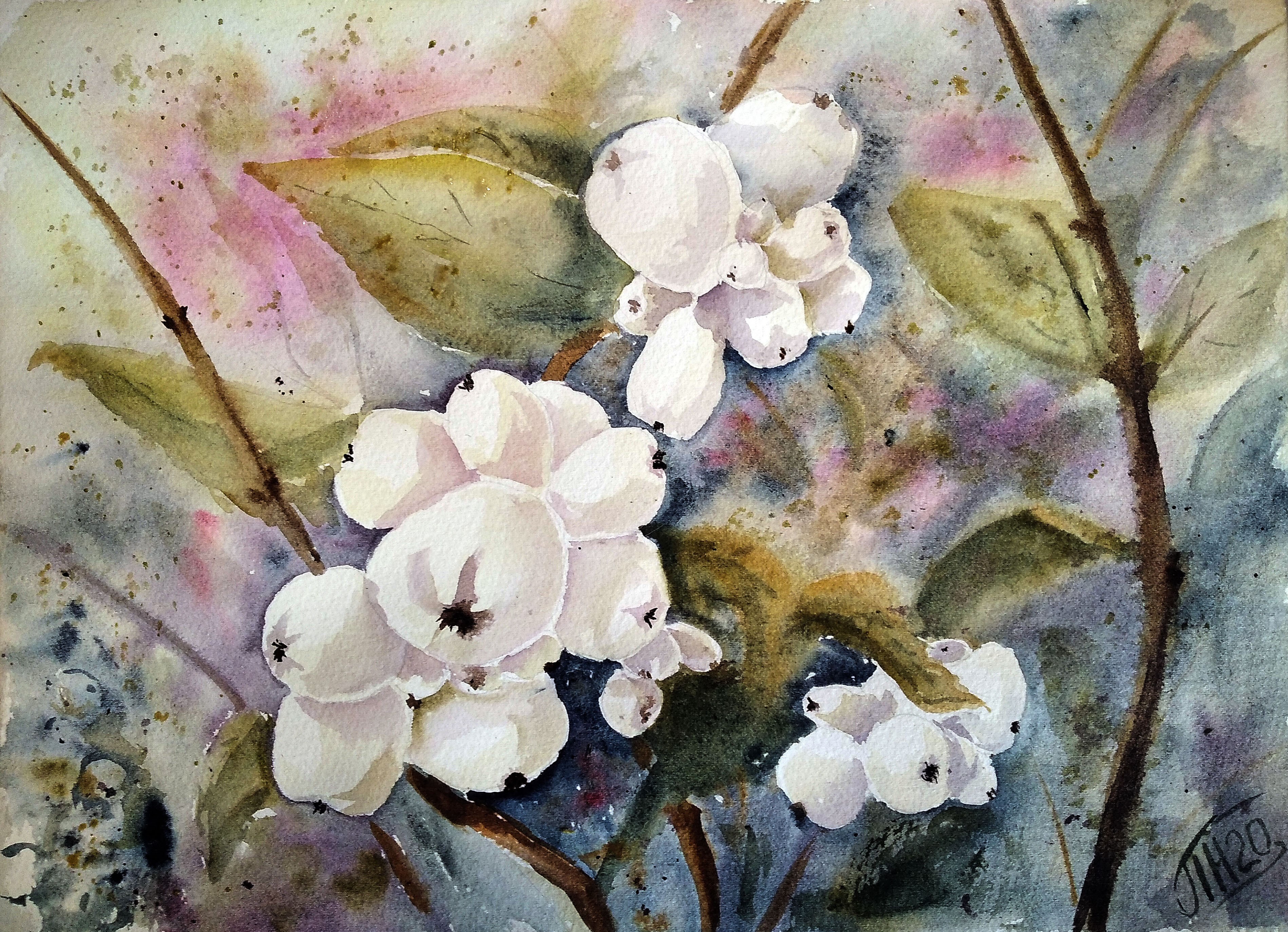 Snowberry, wolfberry