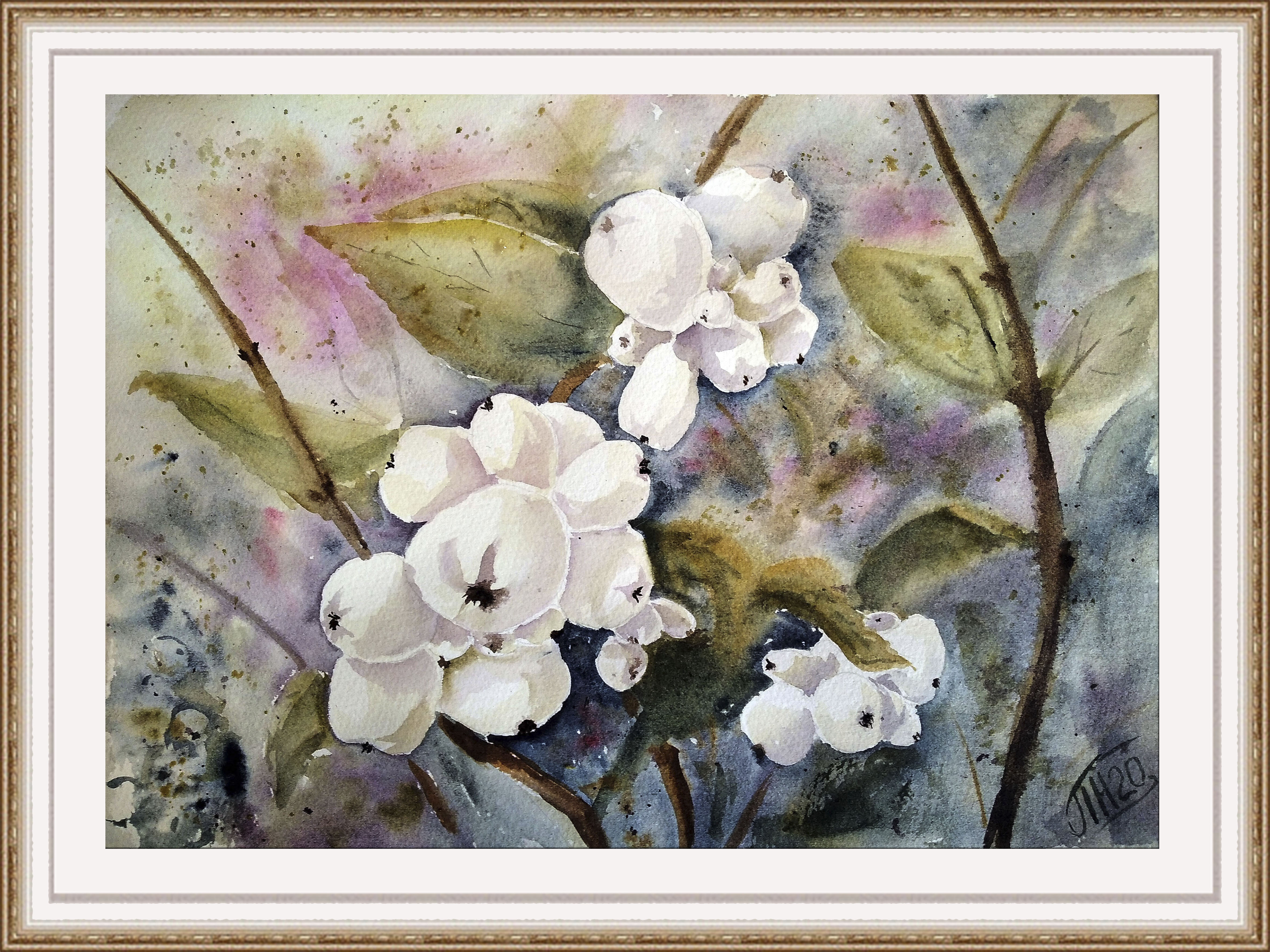 Snowberry, wolfberry