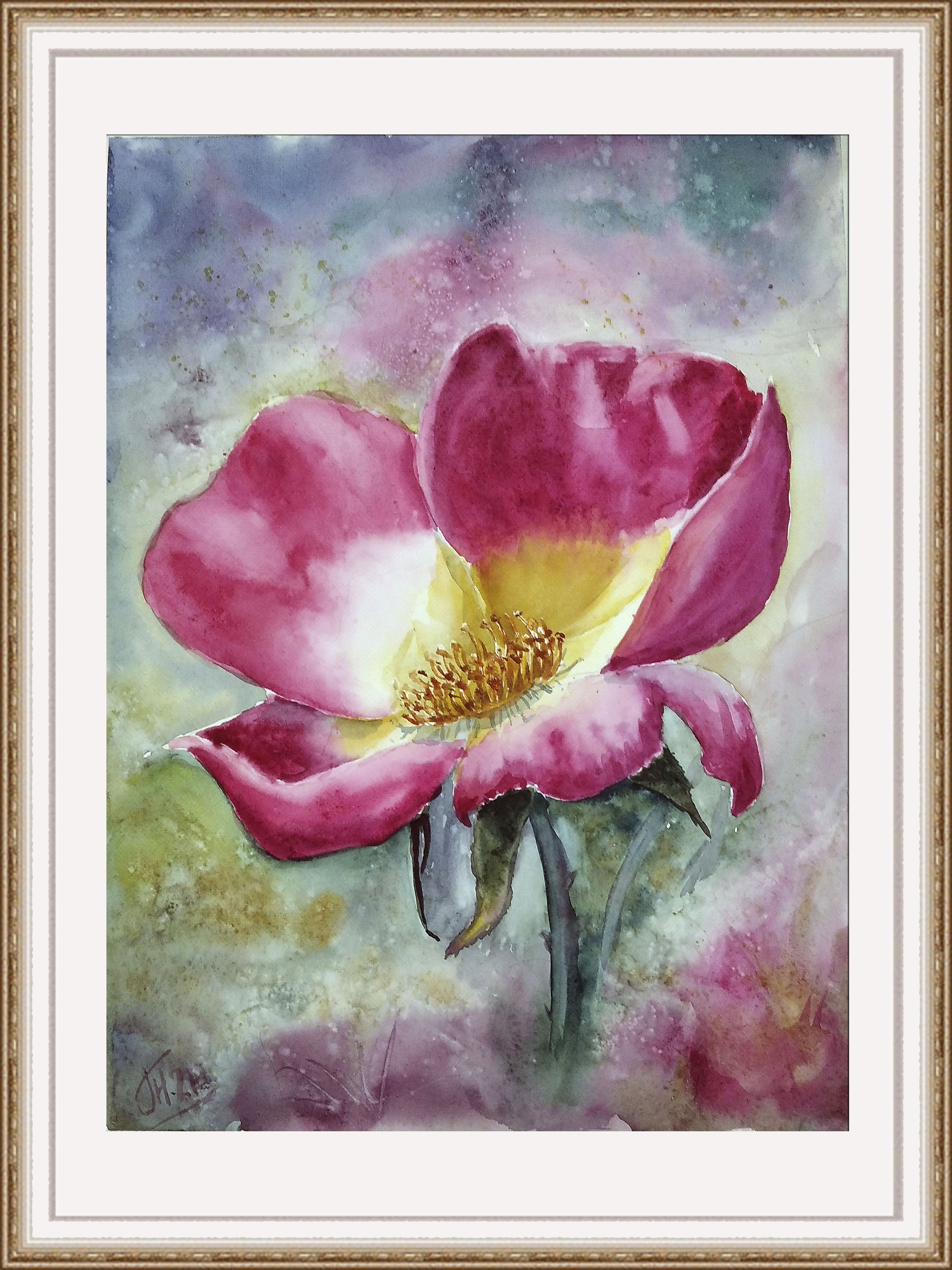 Rosehip