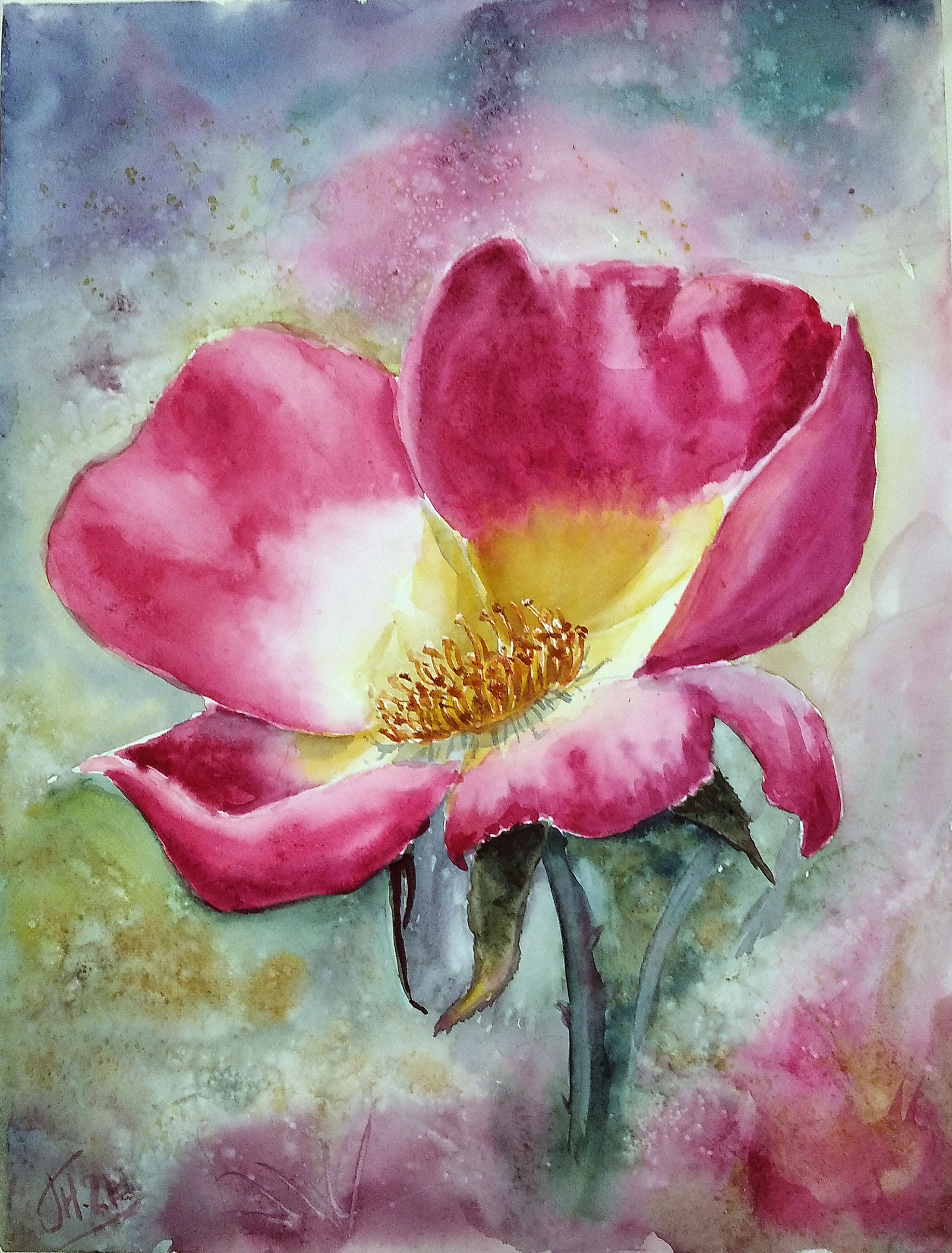 Rosehip