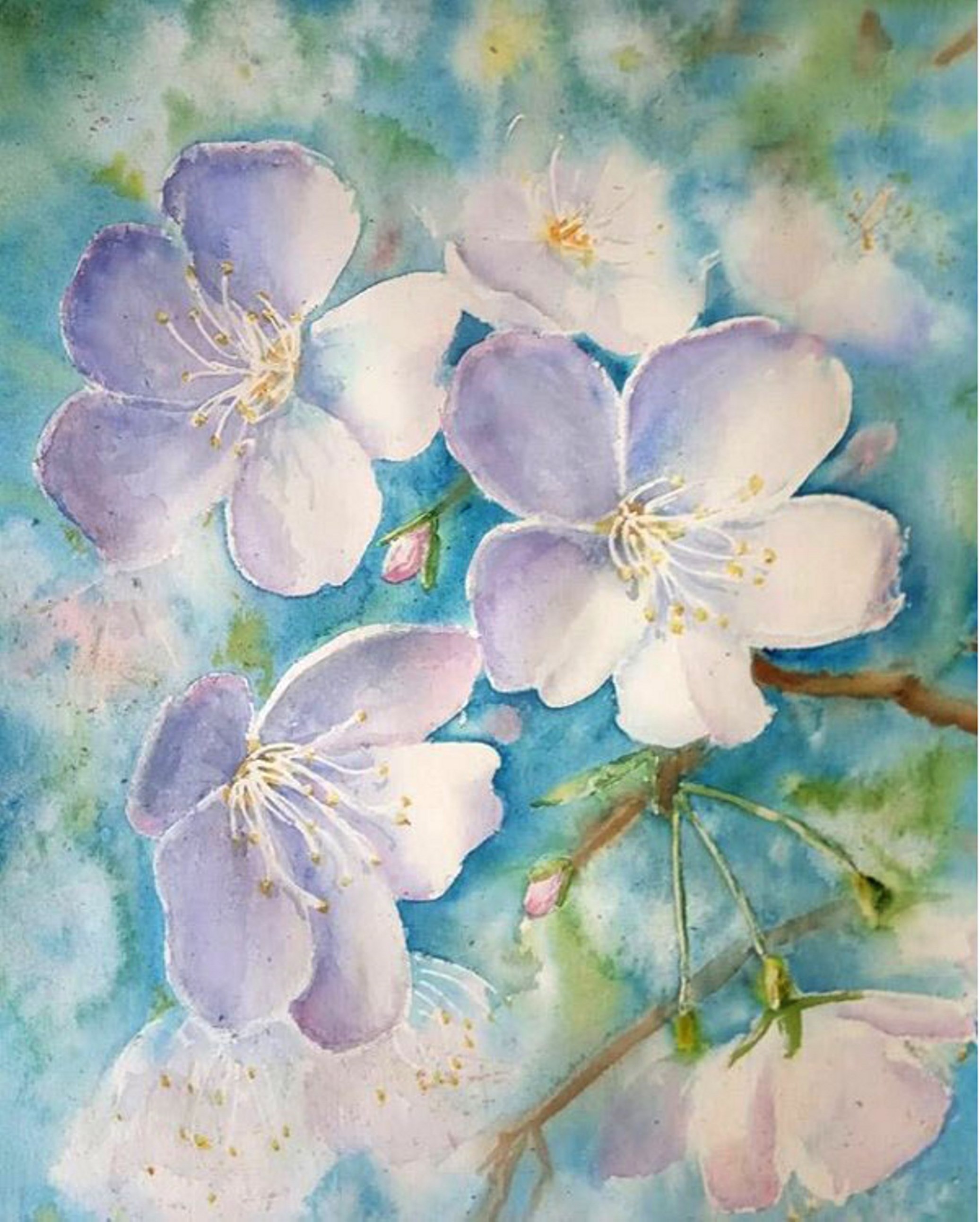 Apple tree flowers