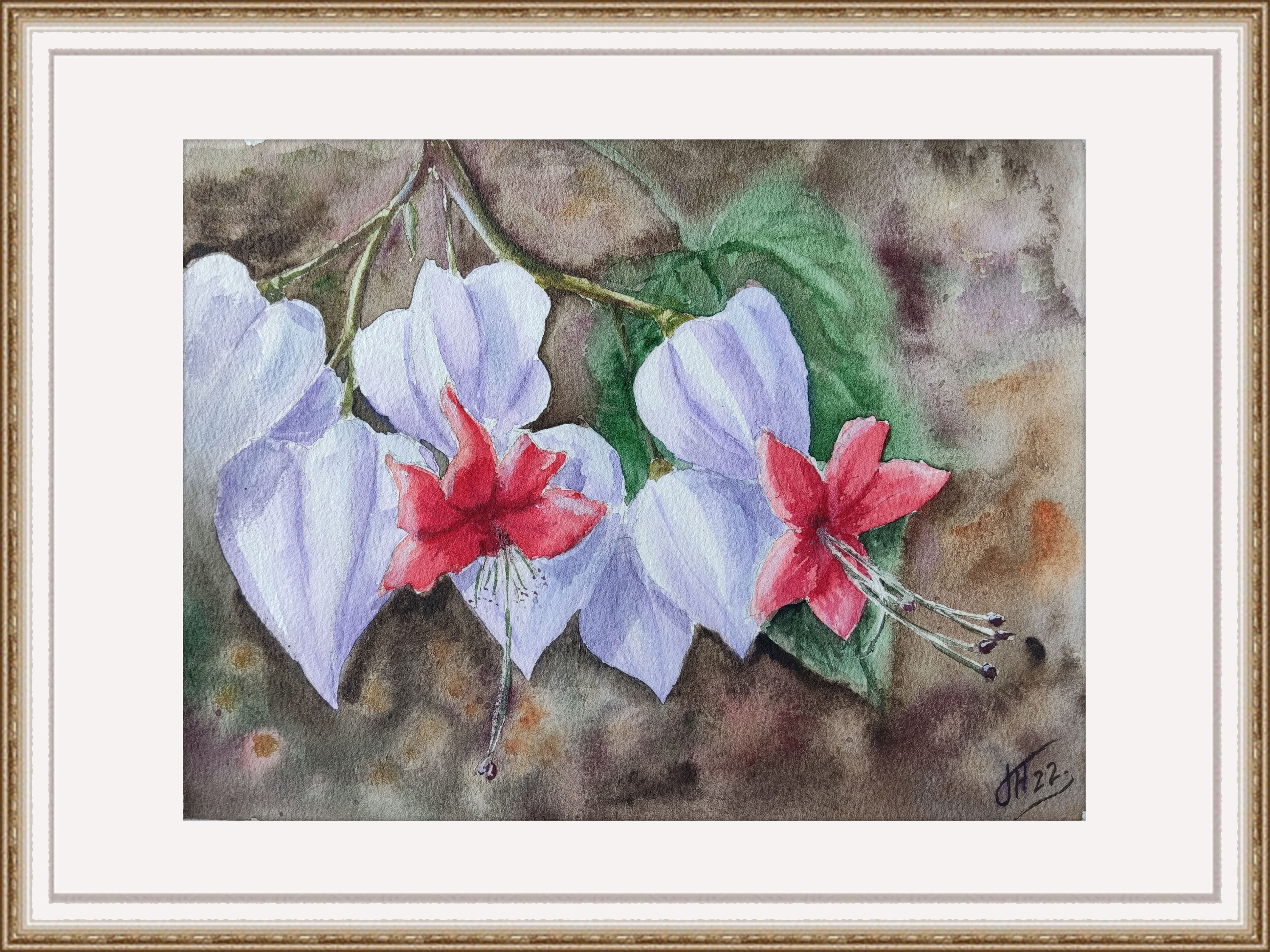Clerodendrum