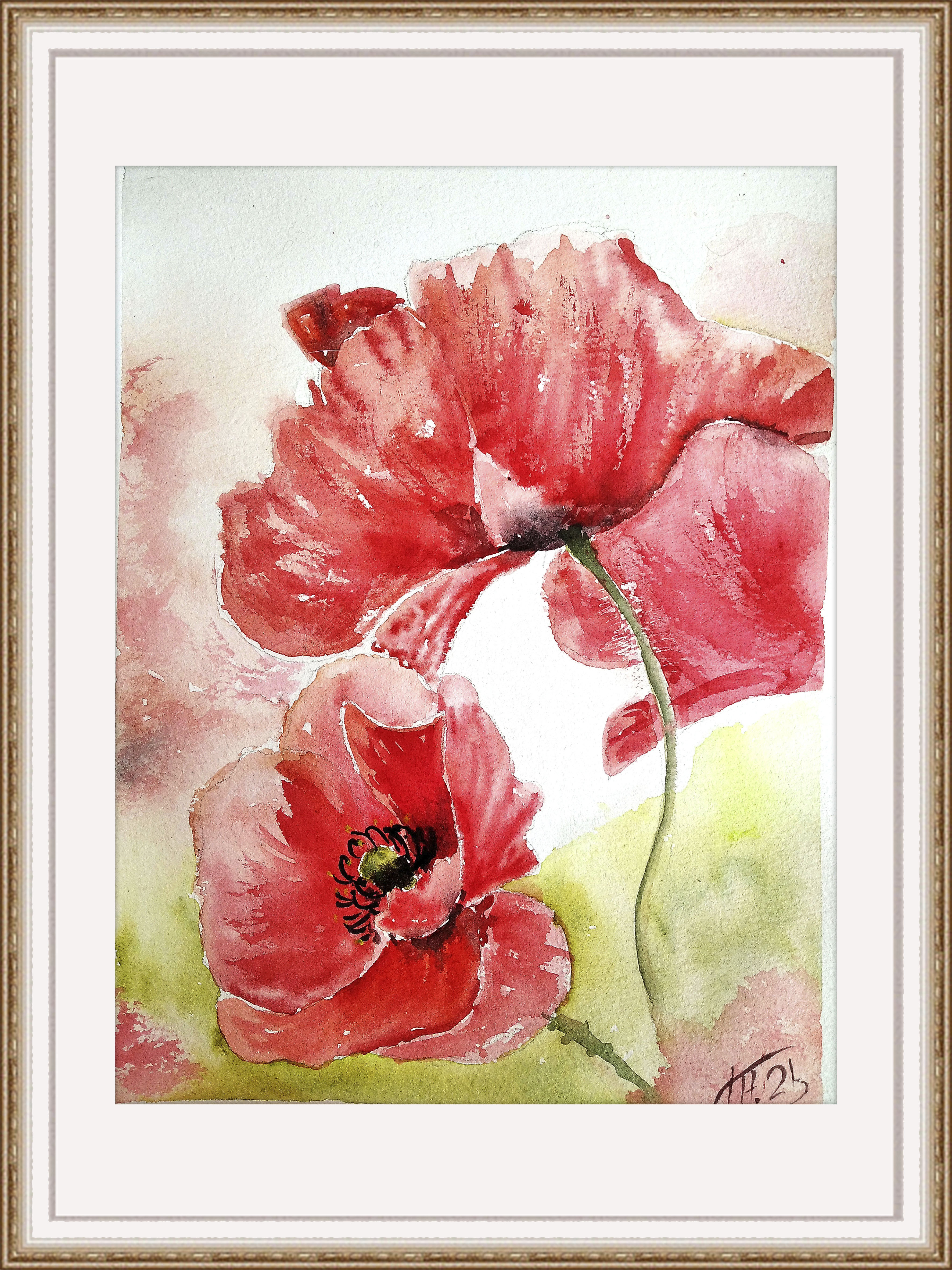 Poppies