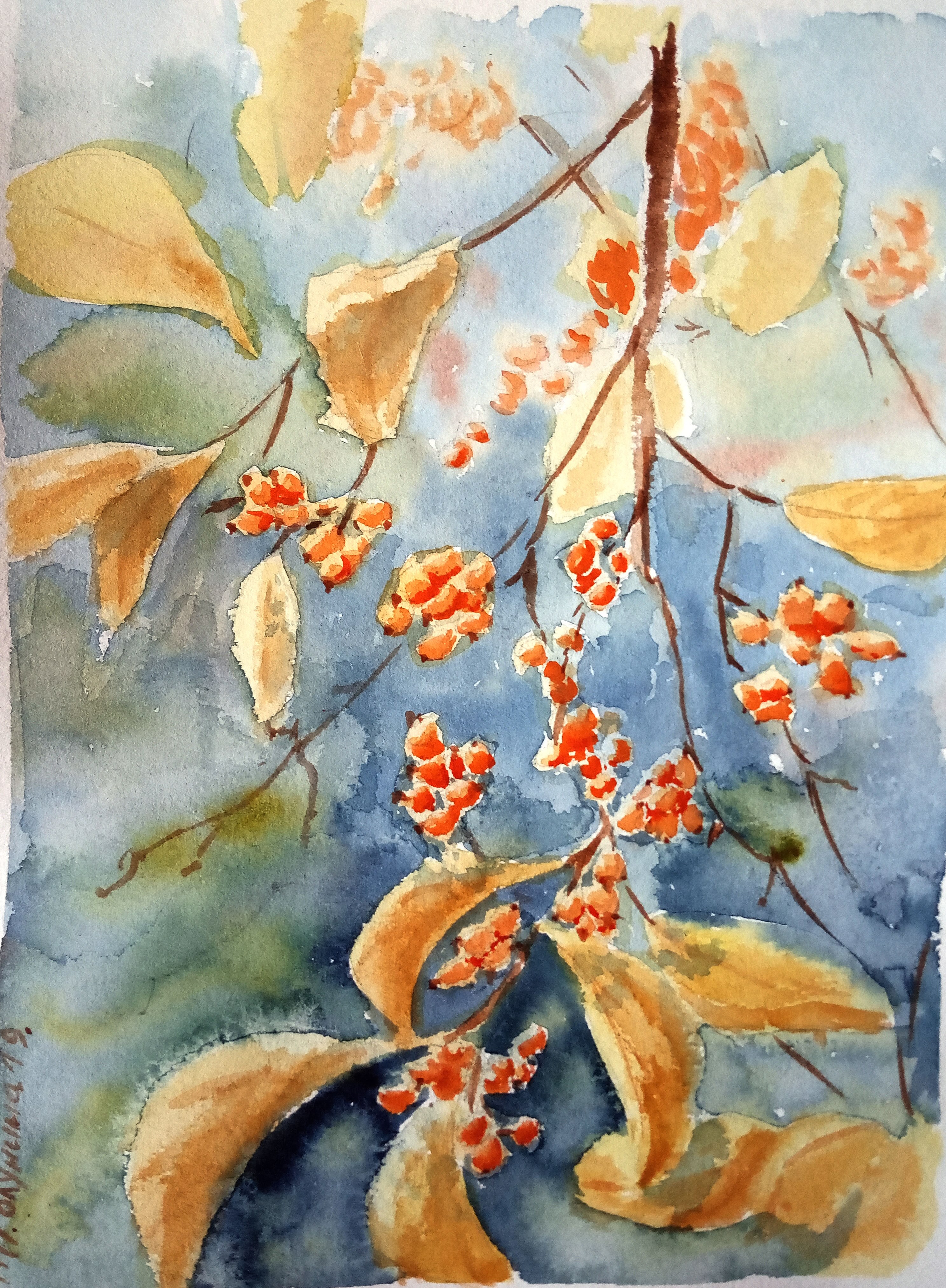 Sea buckthorn