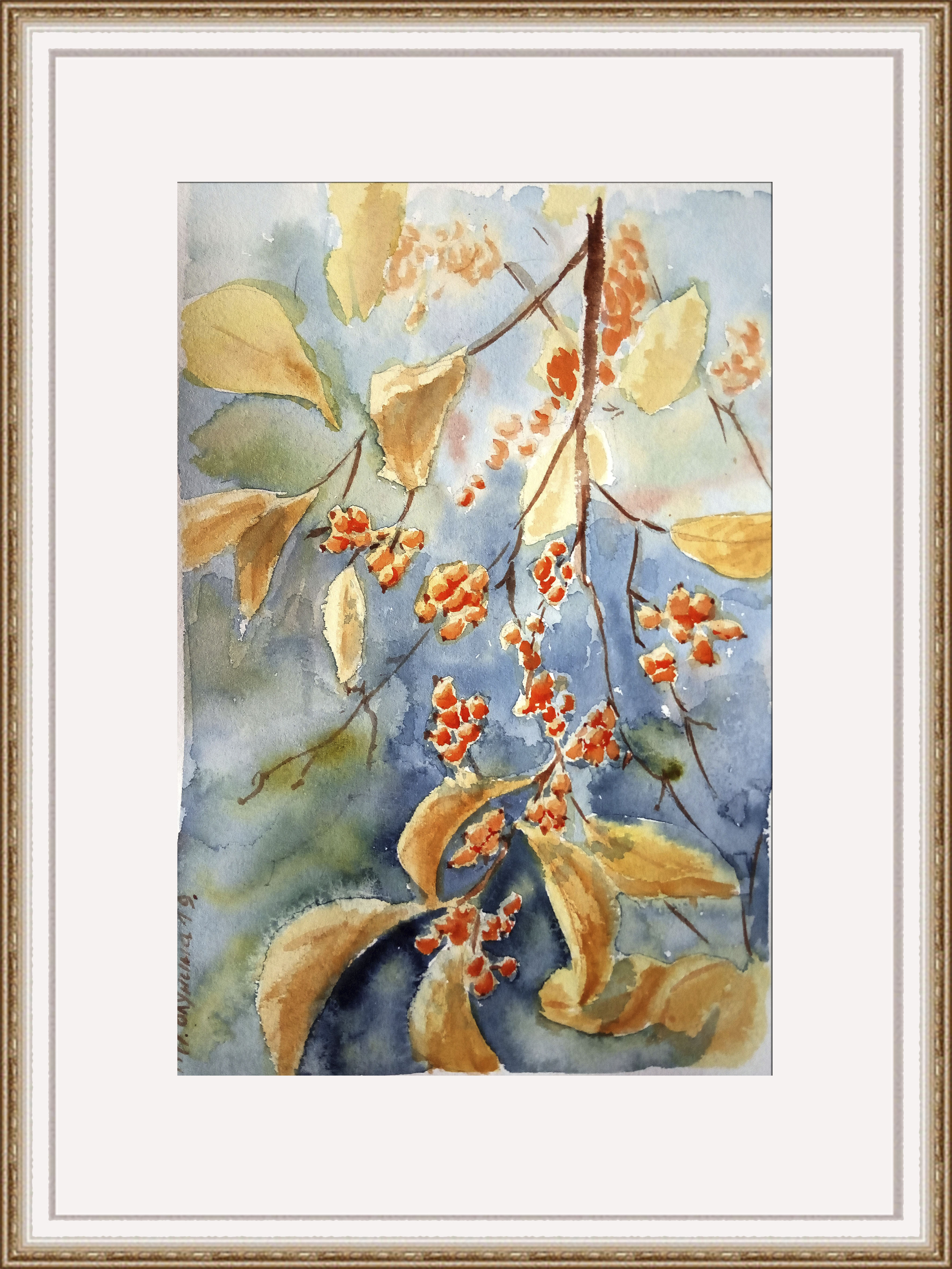 Sea buckthorn
