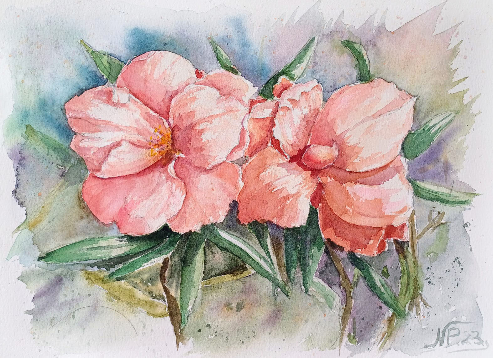 Oleander