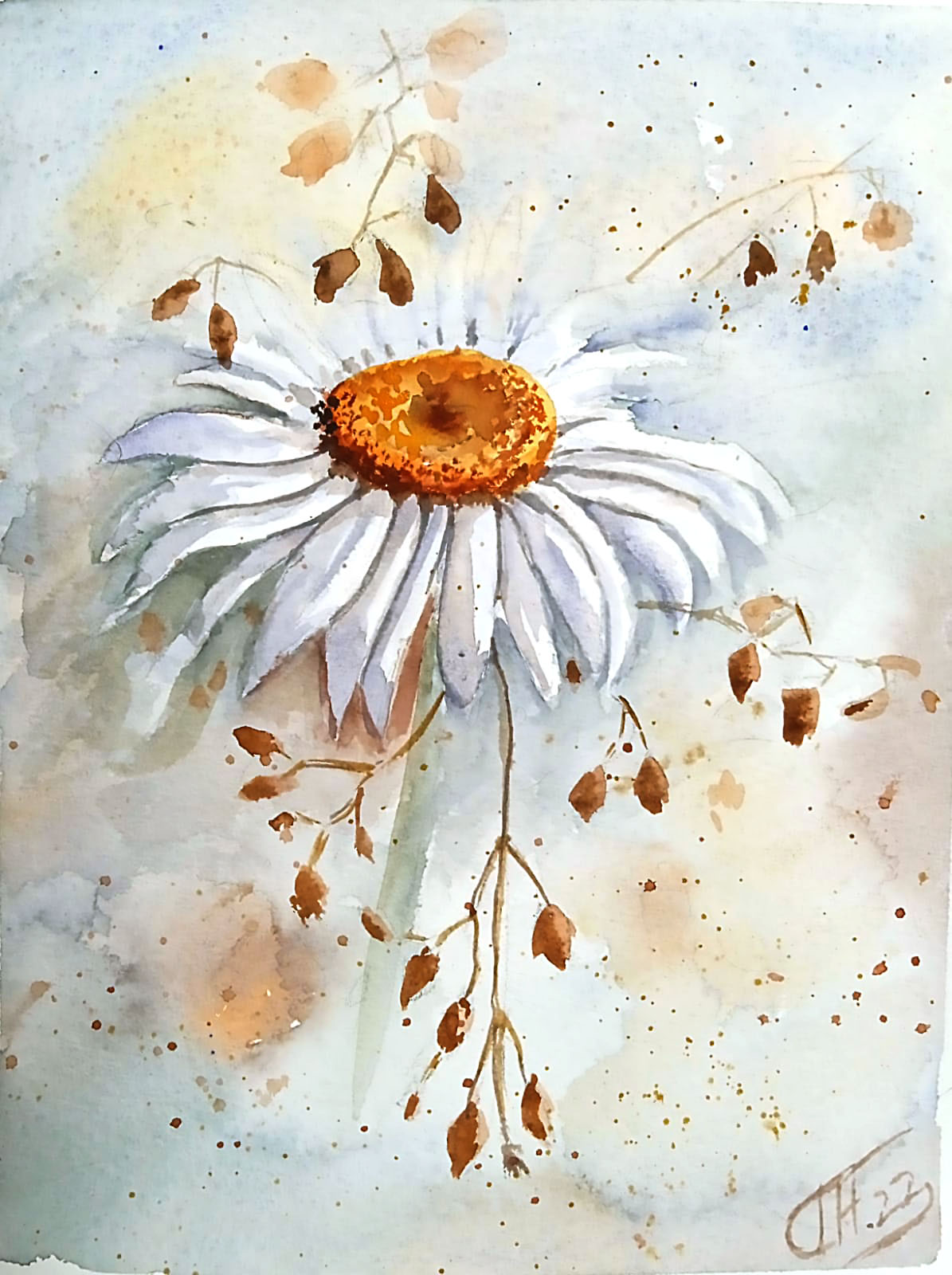 Chamomile