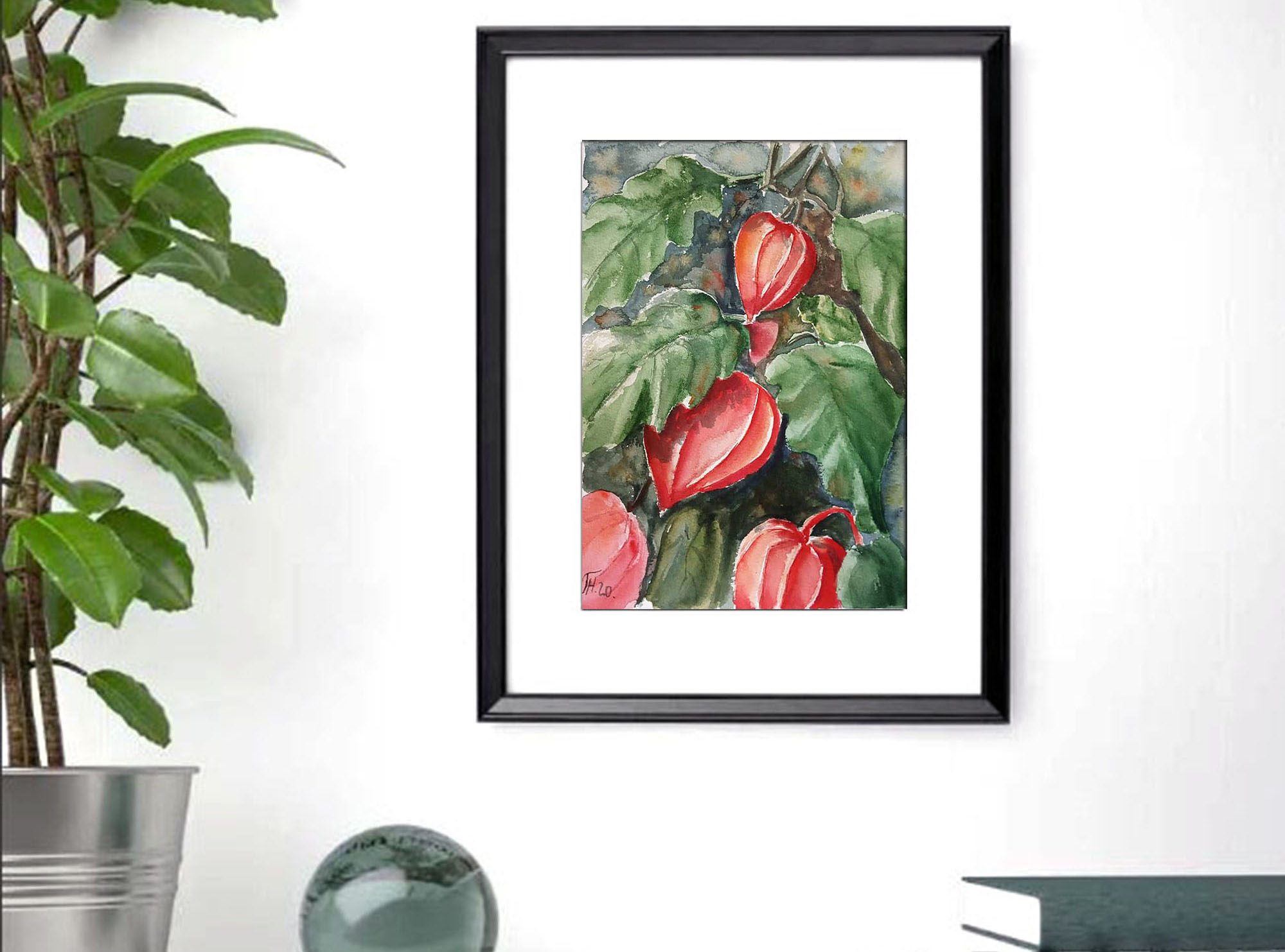 Physalis