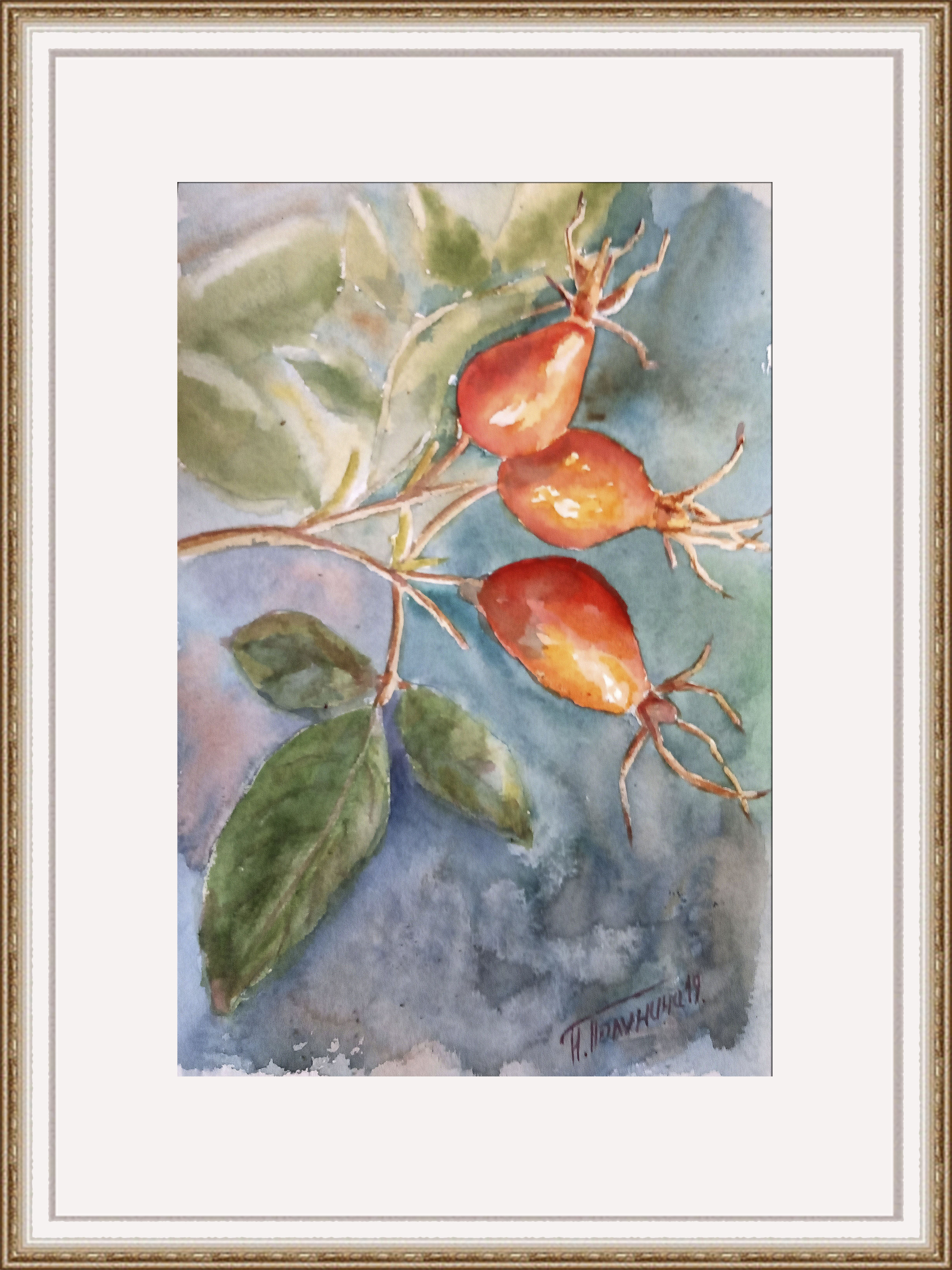 Rosehip branch