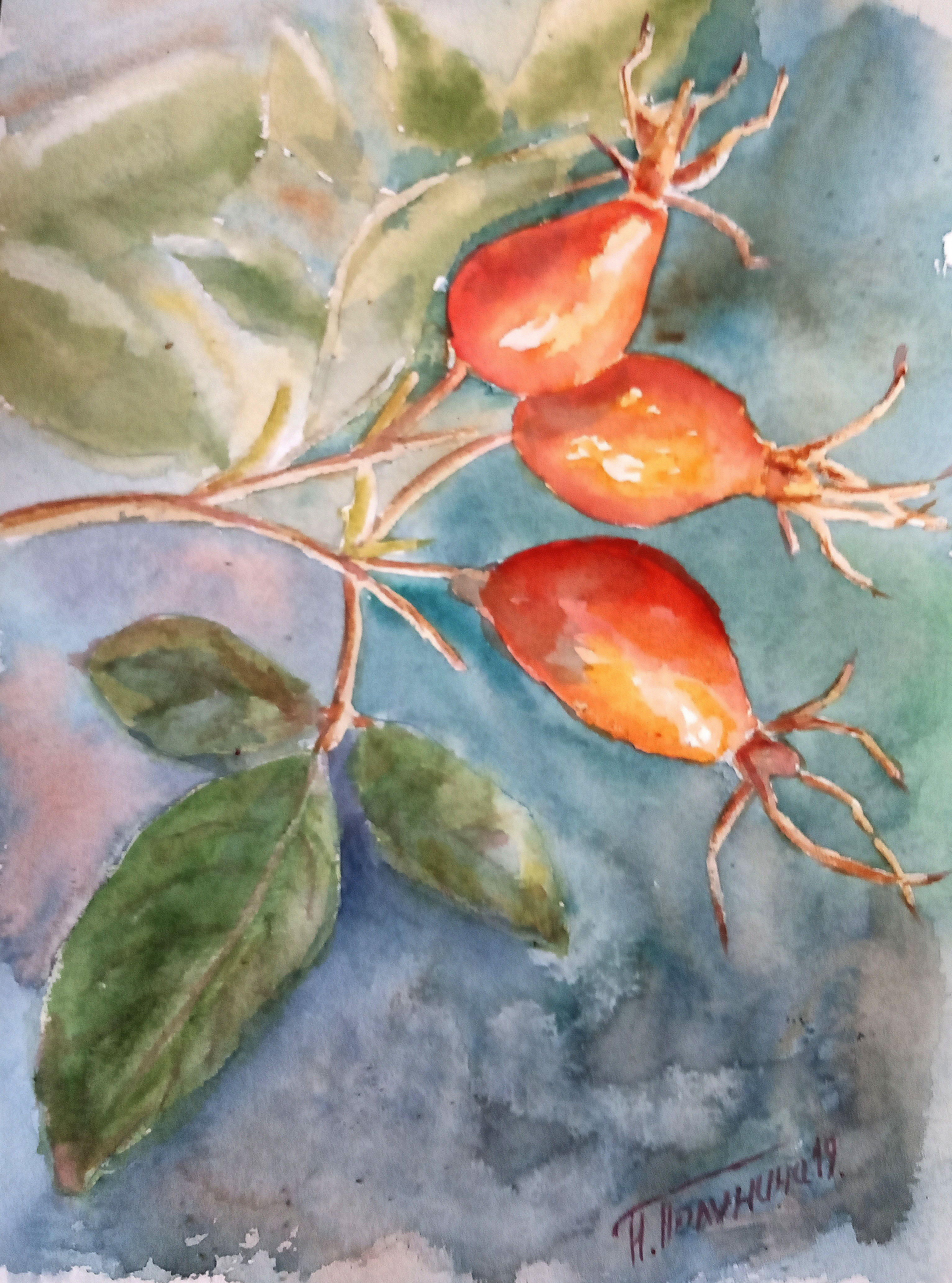 Rosehip branch