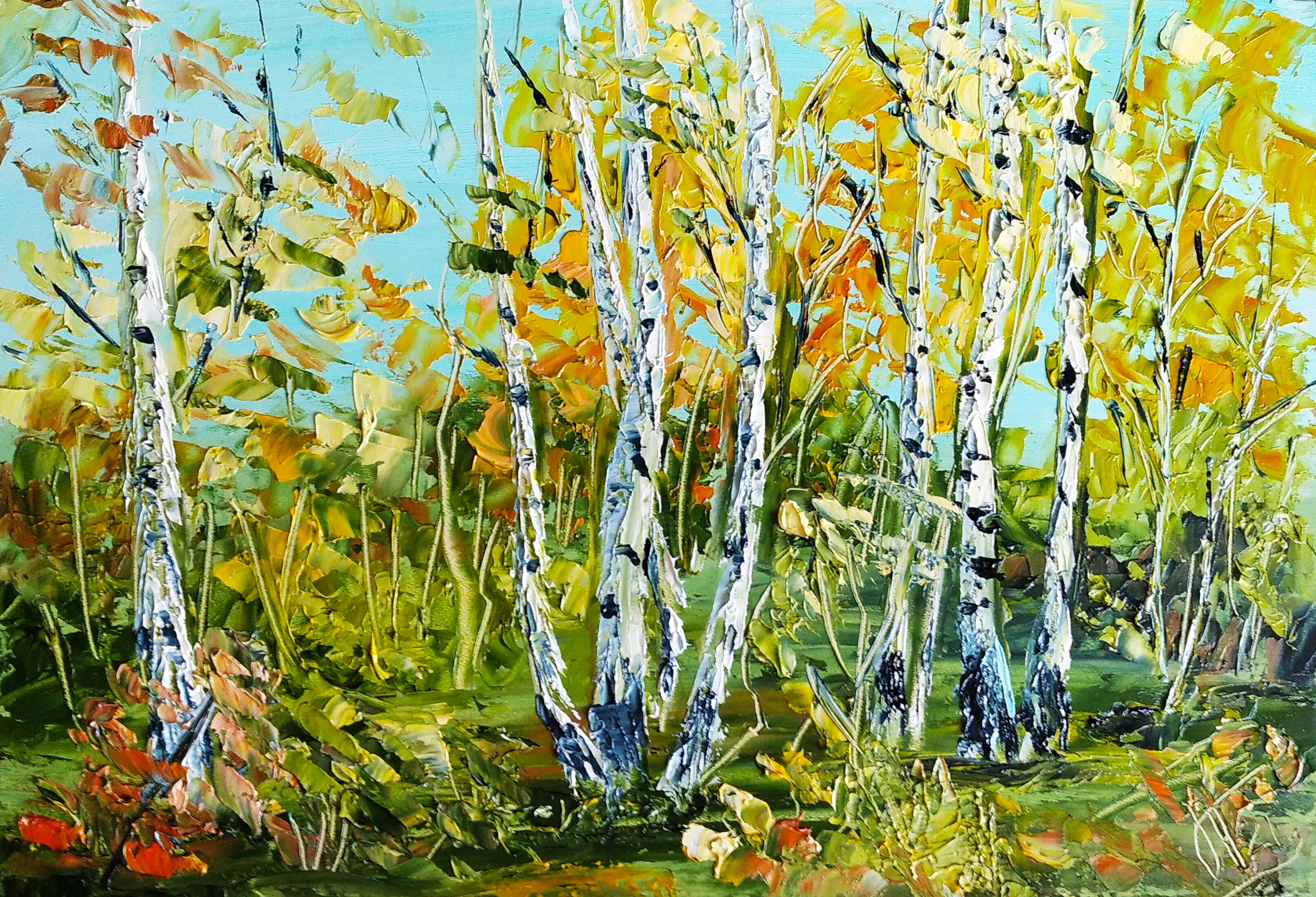Birch forest