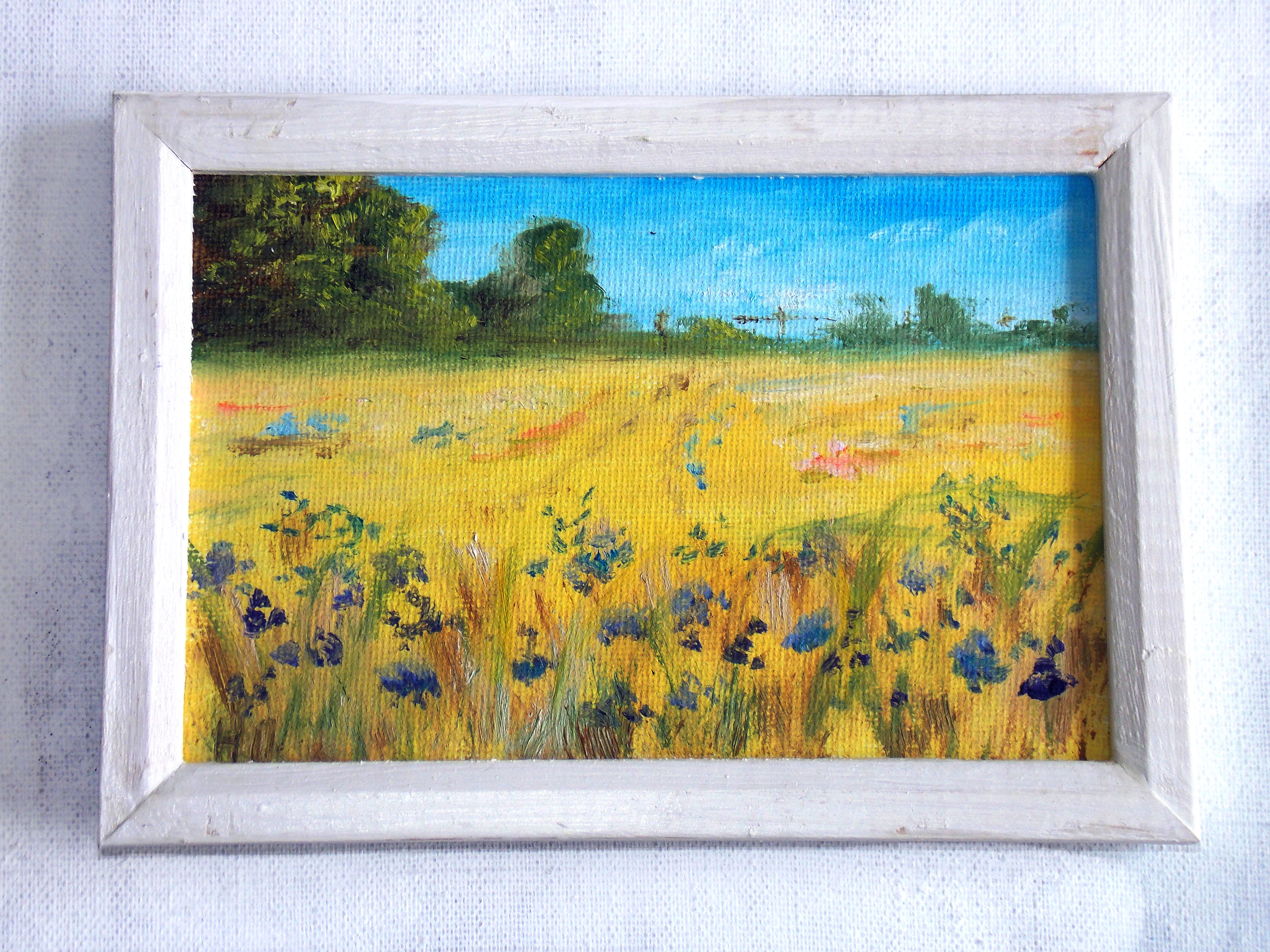 Field of blue flowerst