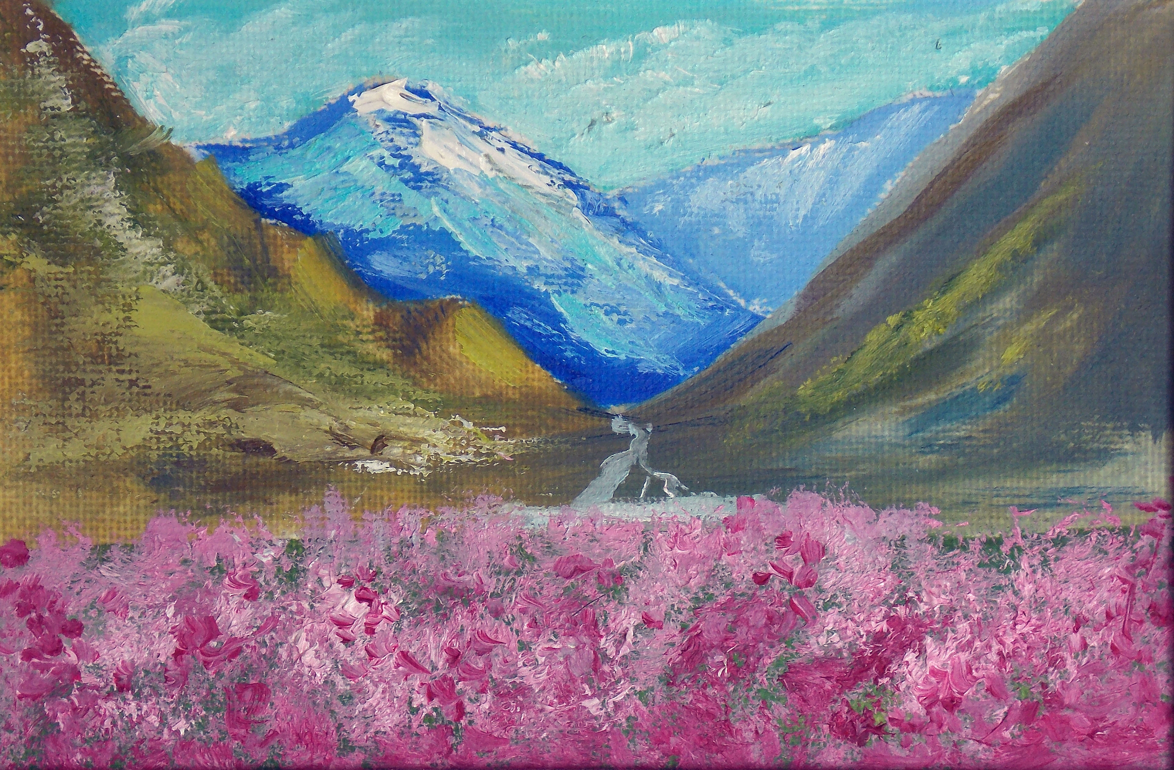 Mountain flowers