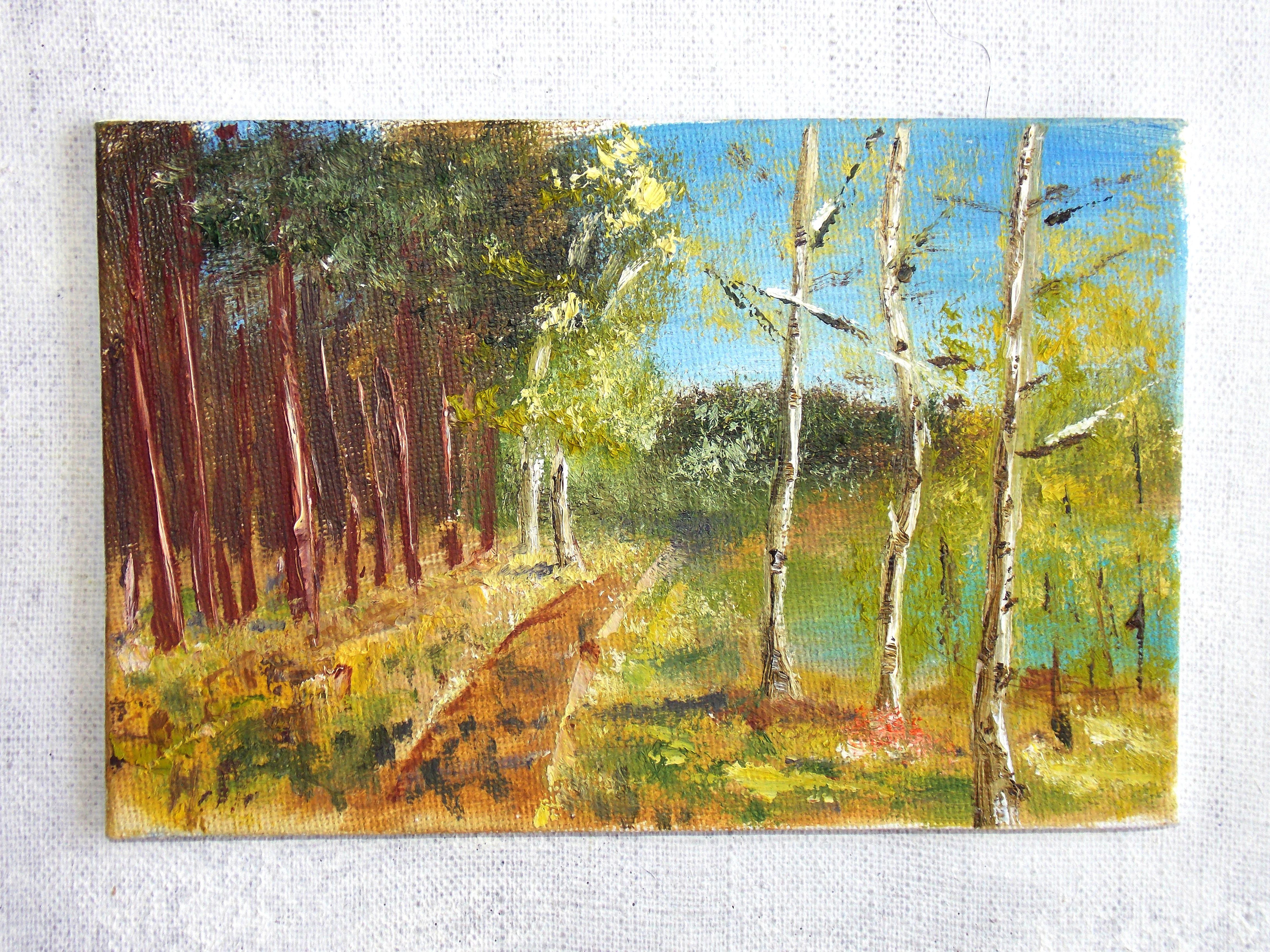 Summer afternoon