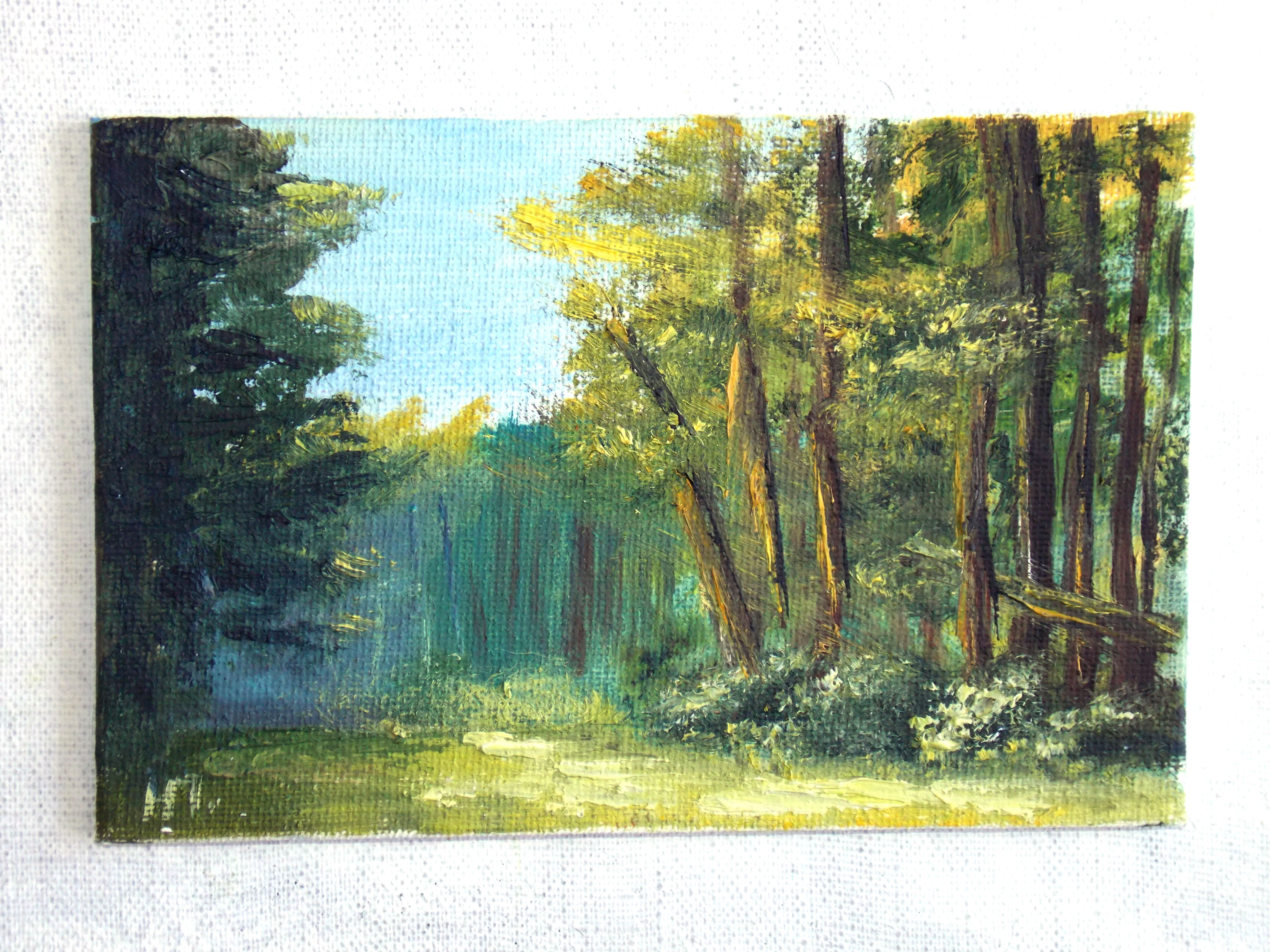 Morning in the forest
