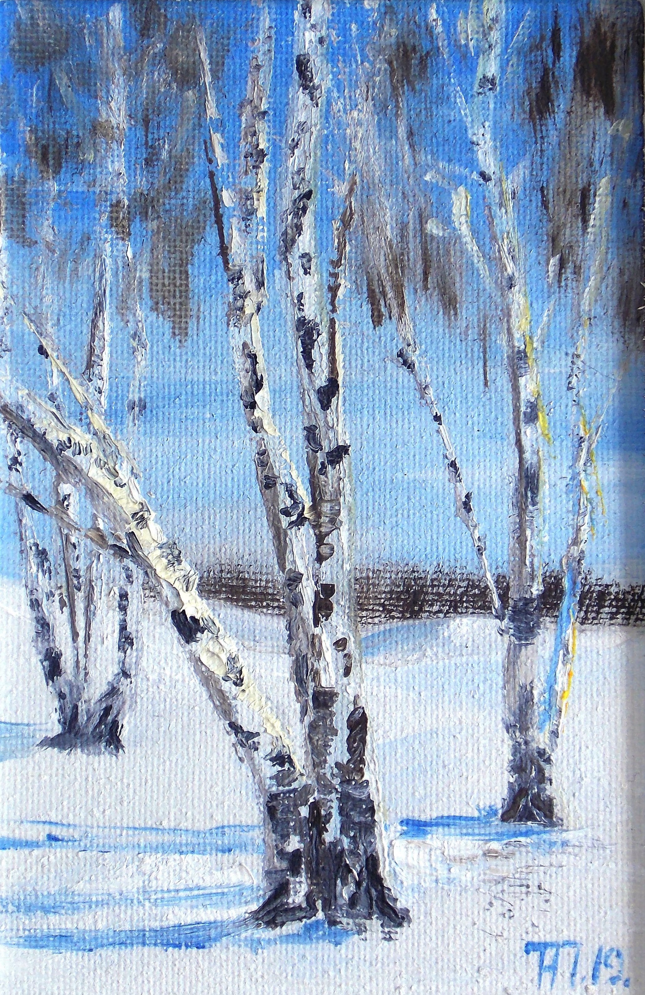 Winter birches