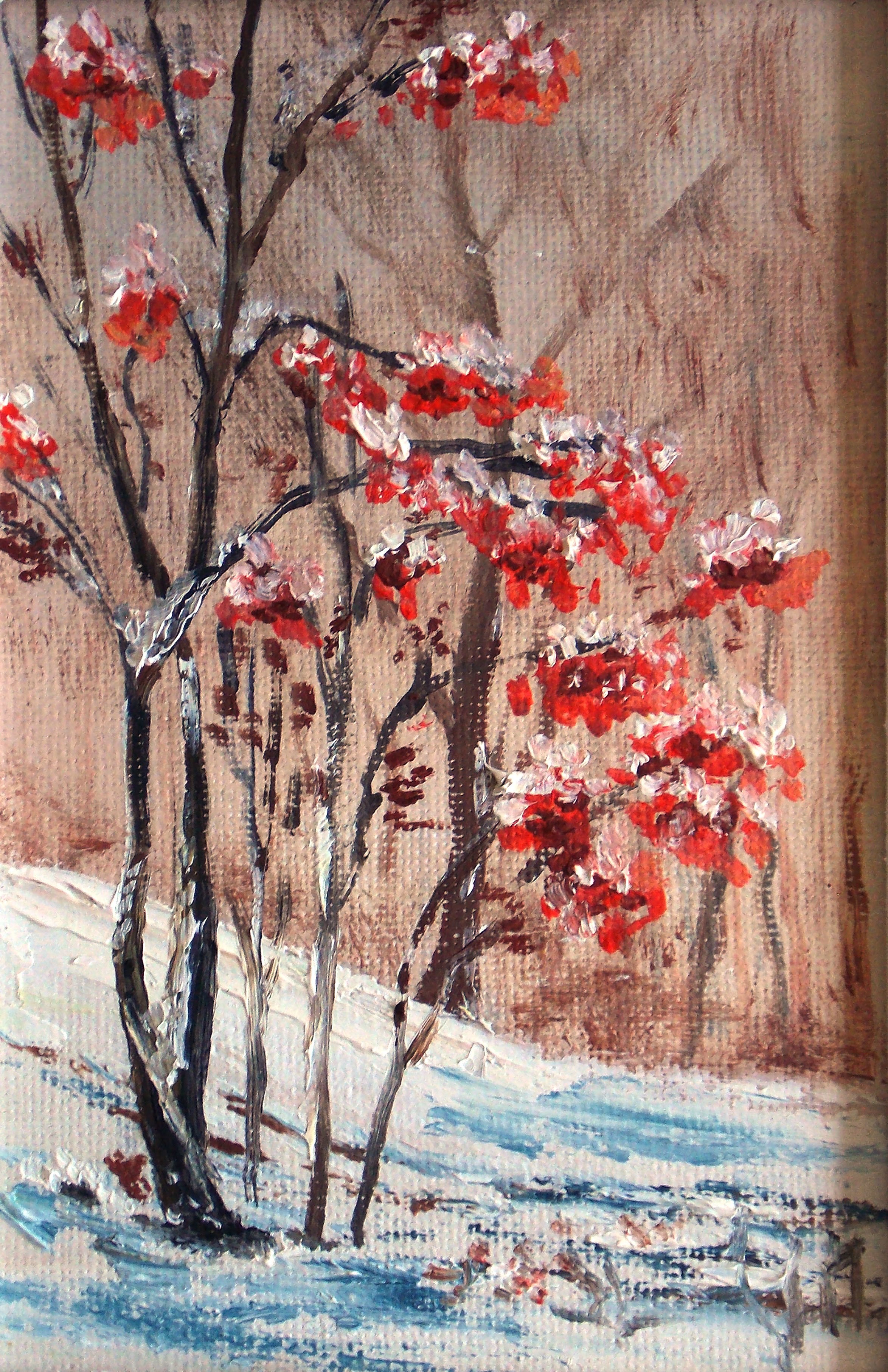 Winter Rowan
