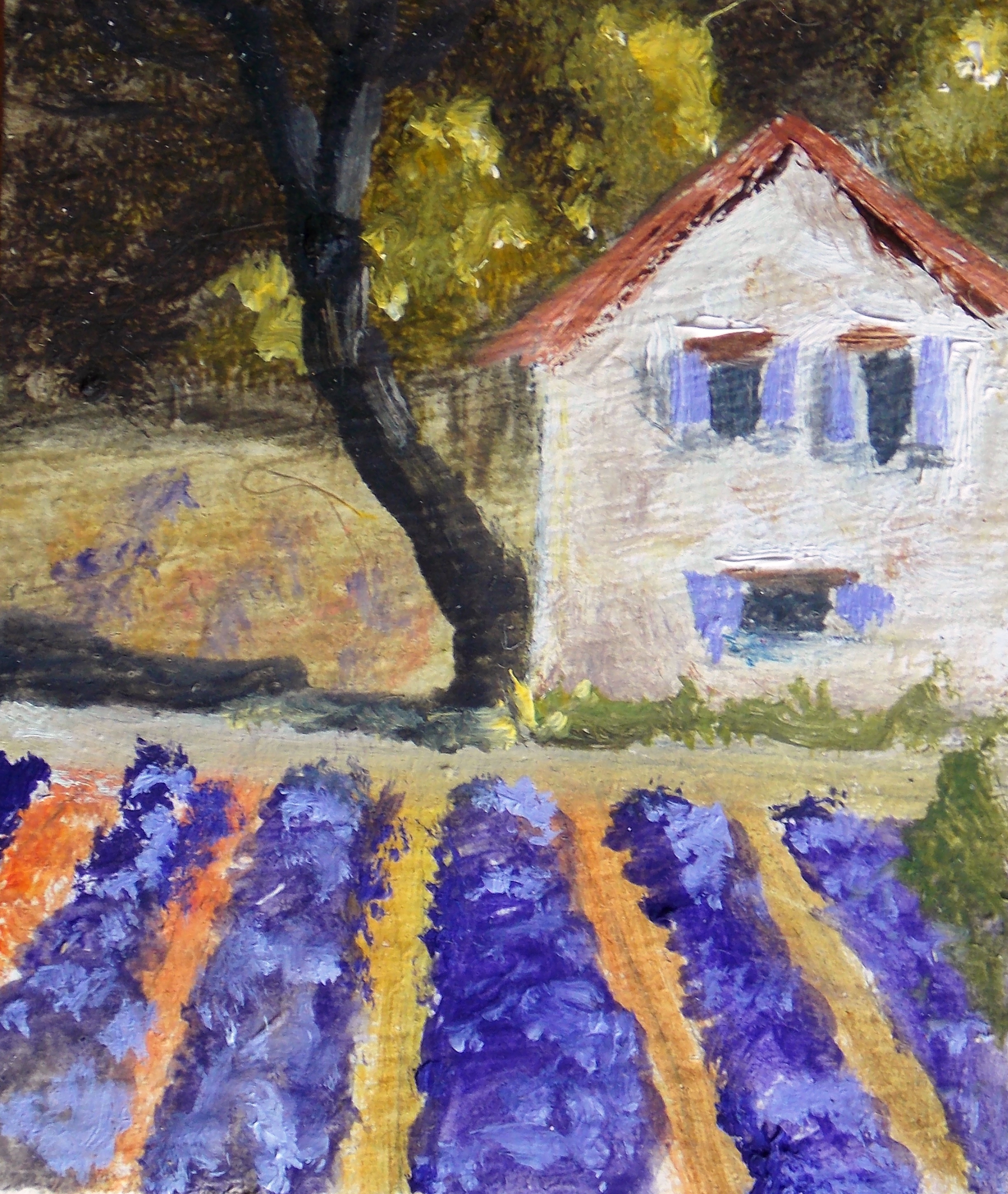 Lavender farm, lavender field