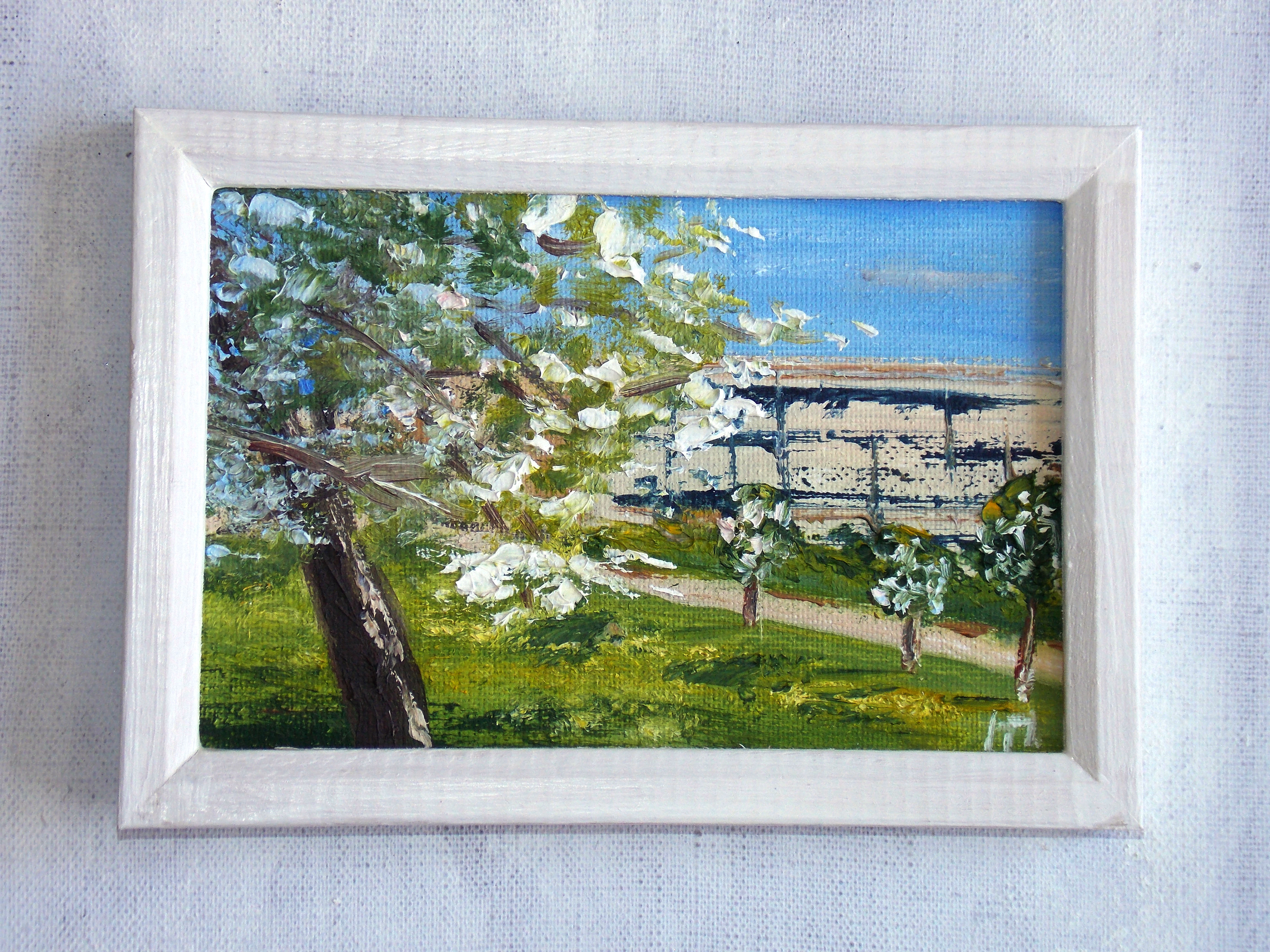 Apple trees are blooming.