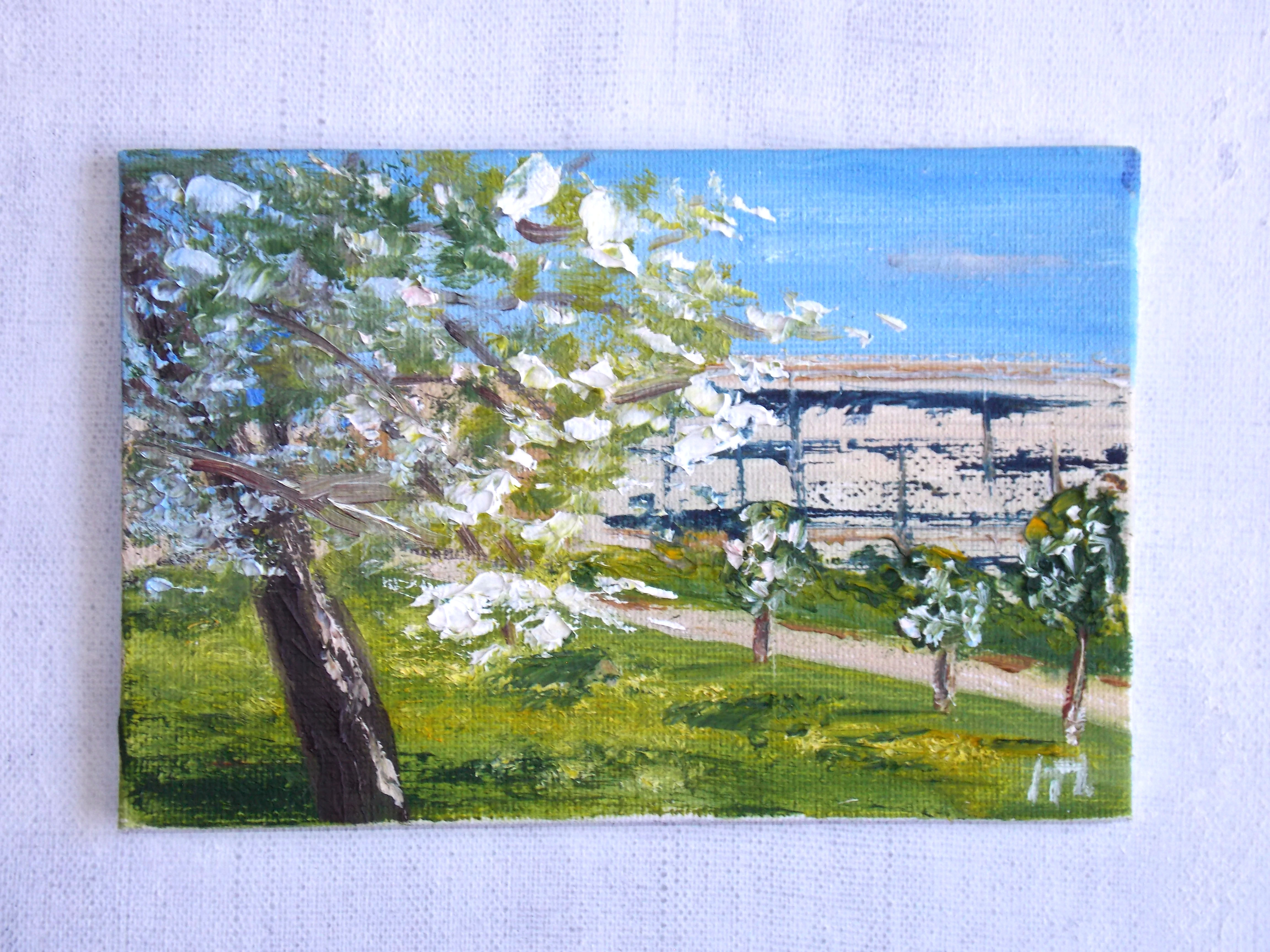 Apple trees are blooming.