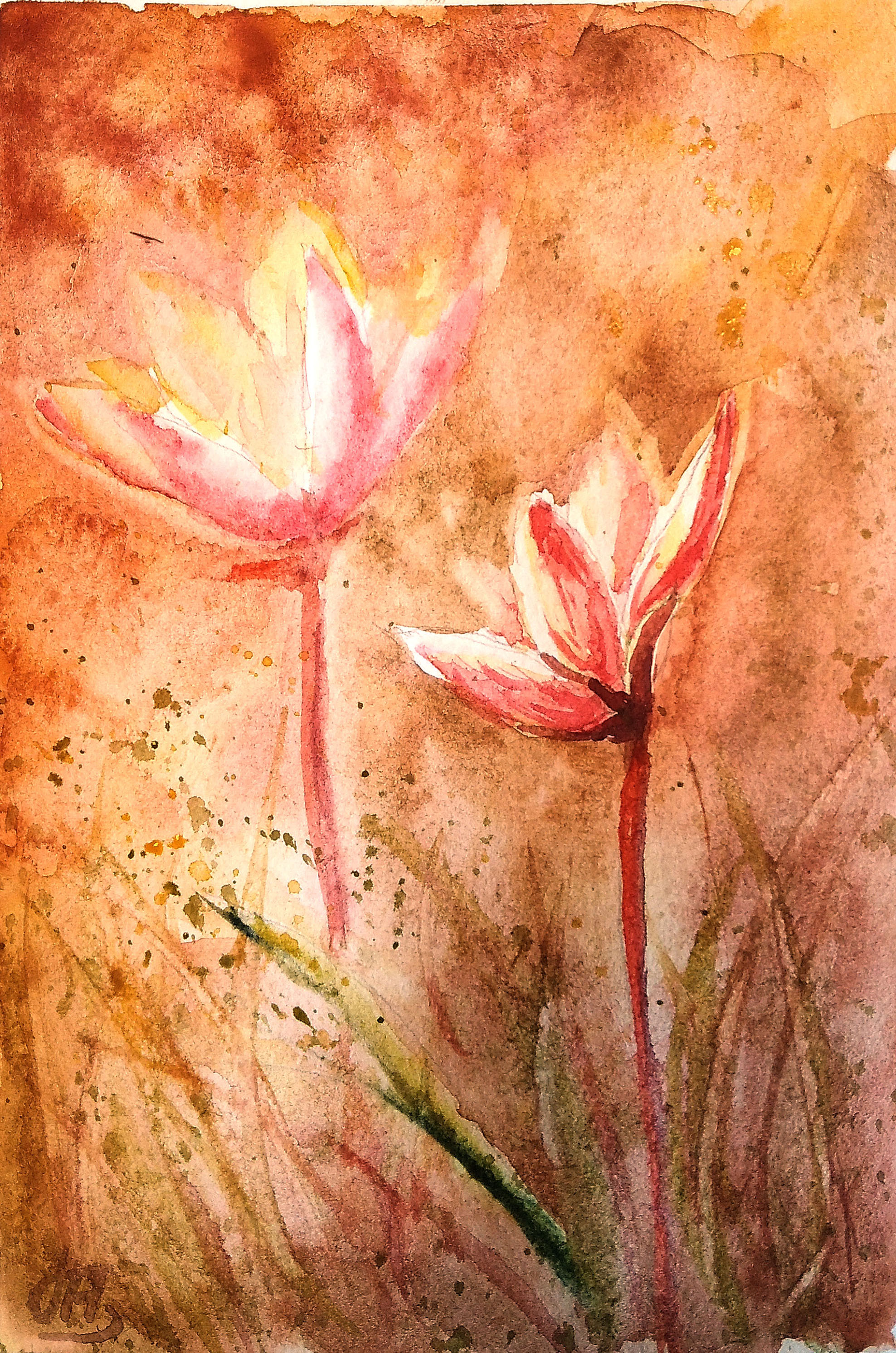 “Golden lanterns,” watercolor postcard #2, watercolor miniatures, orange flower