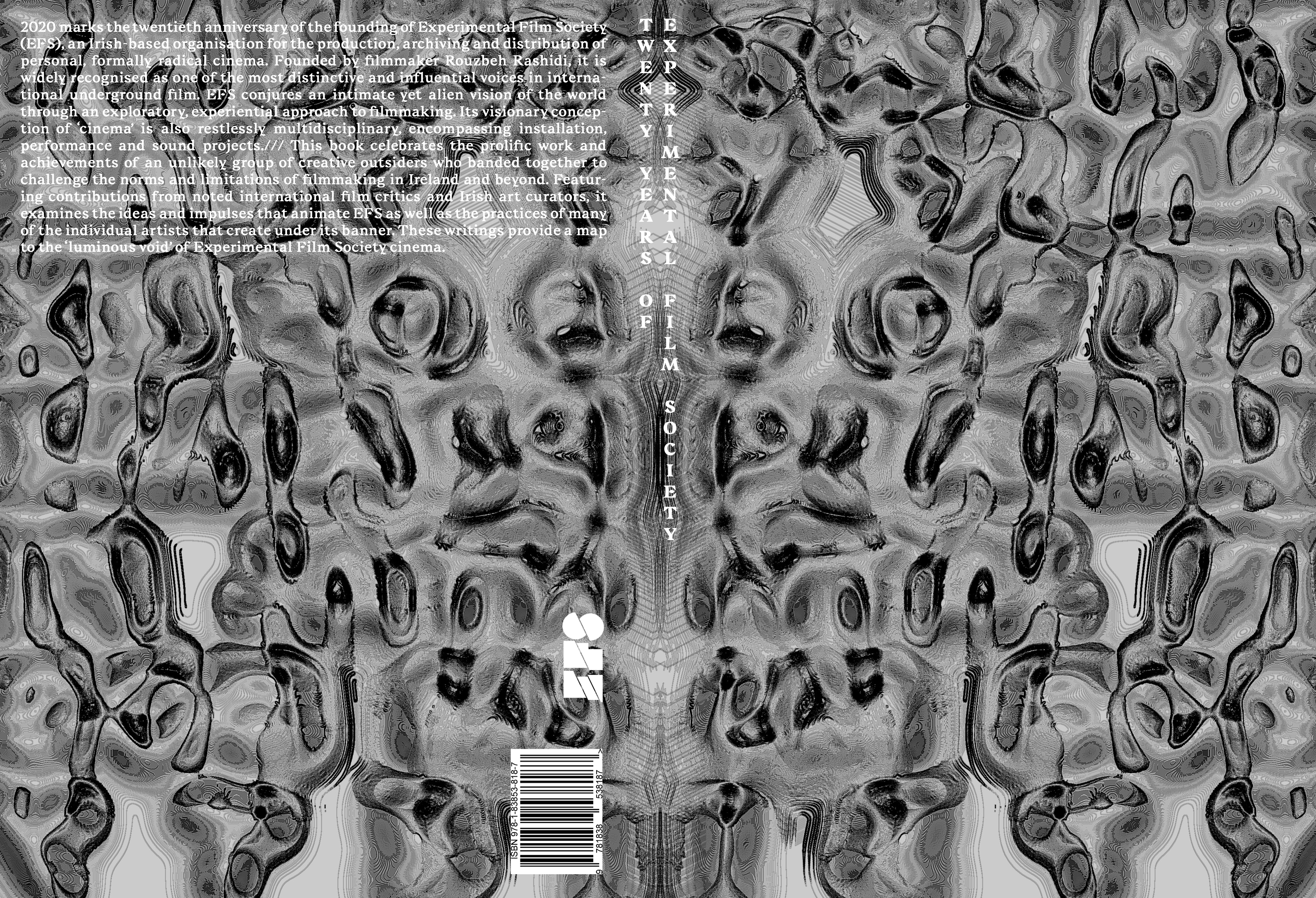 Luminous Void: Twenty Years of Experimental Film Society