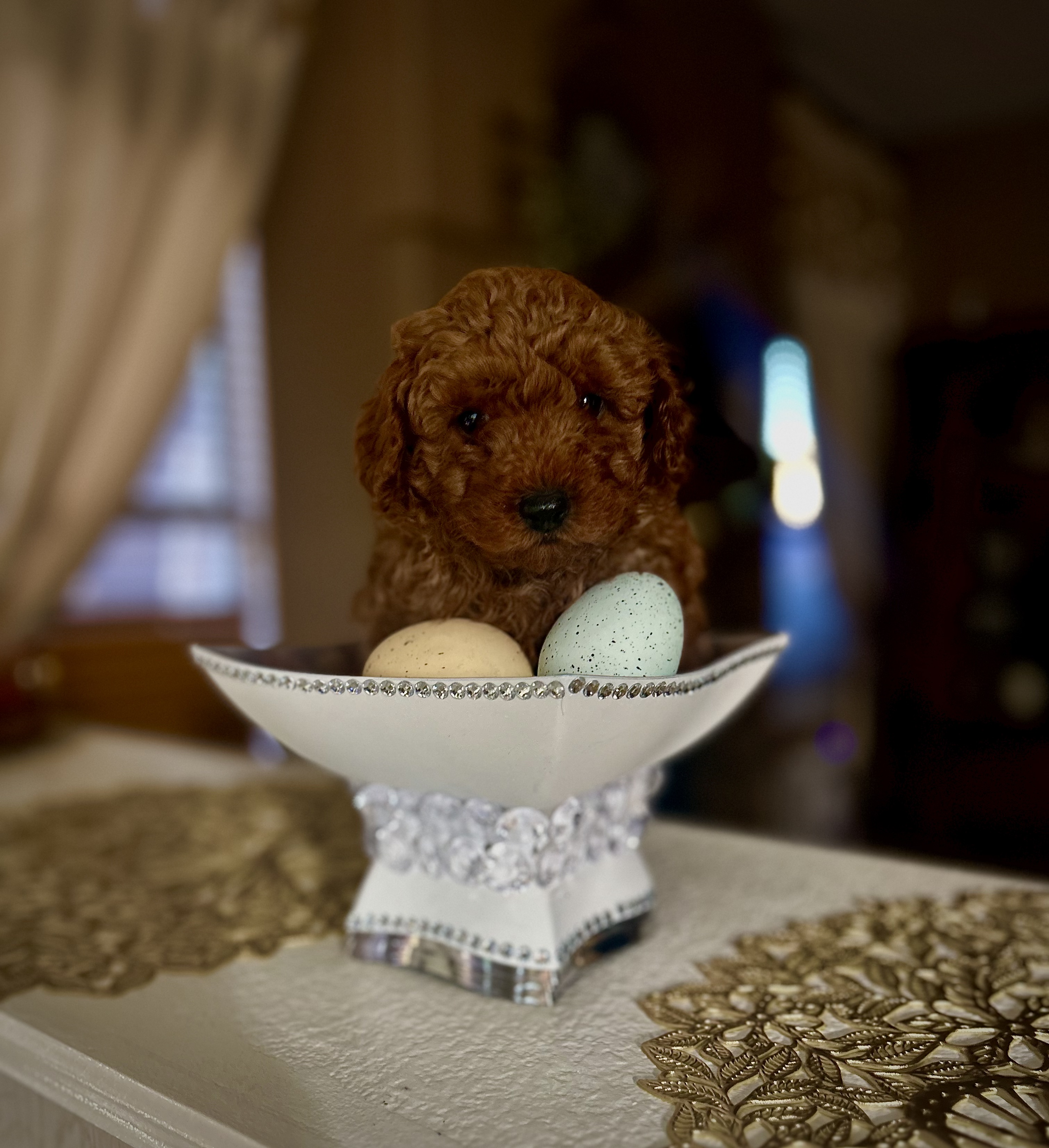 Tiny Toy Male