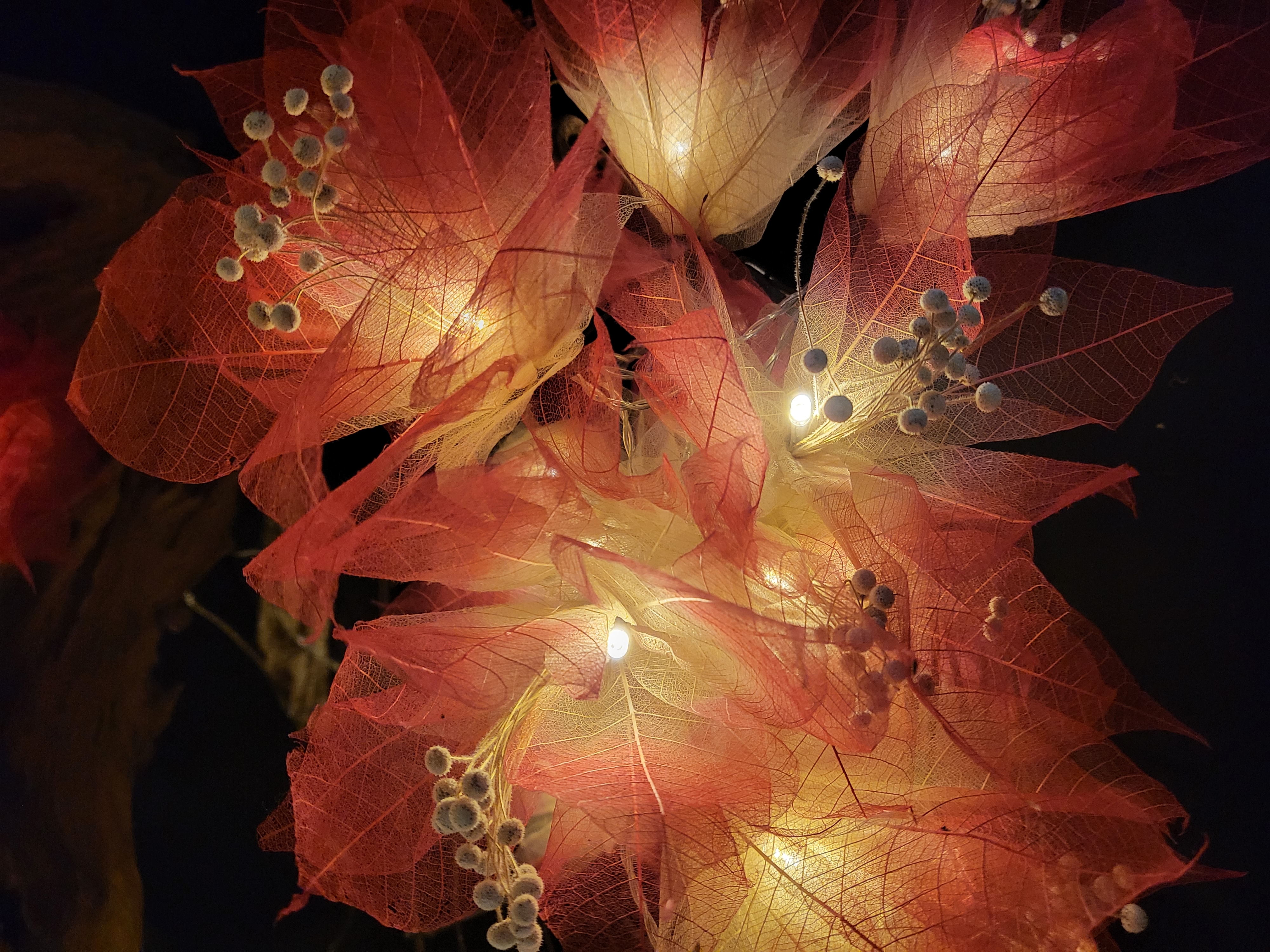 LA PISTIL ECRUE/ROUGE