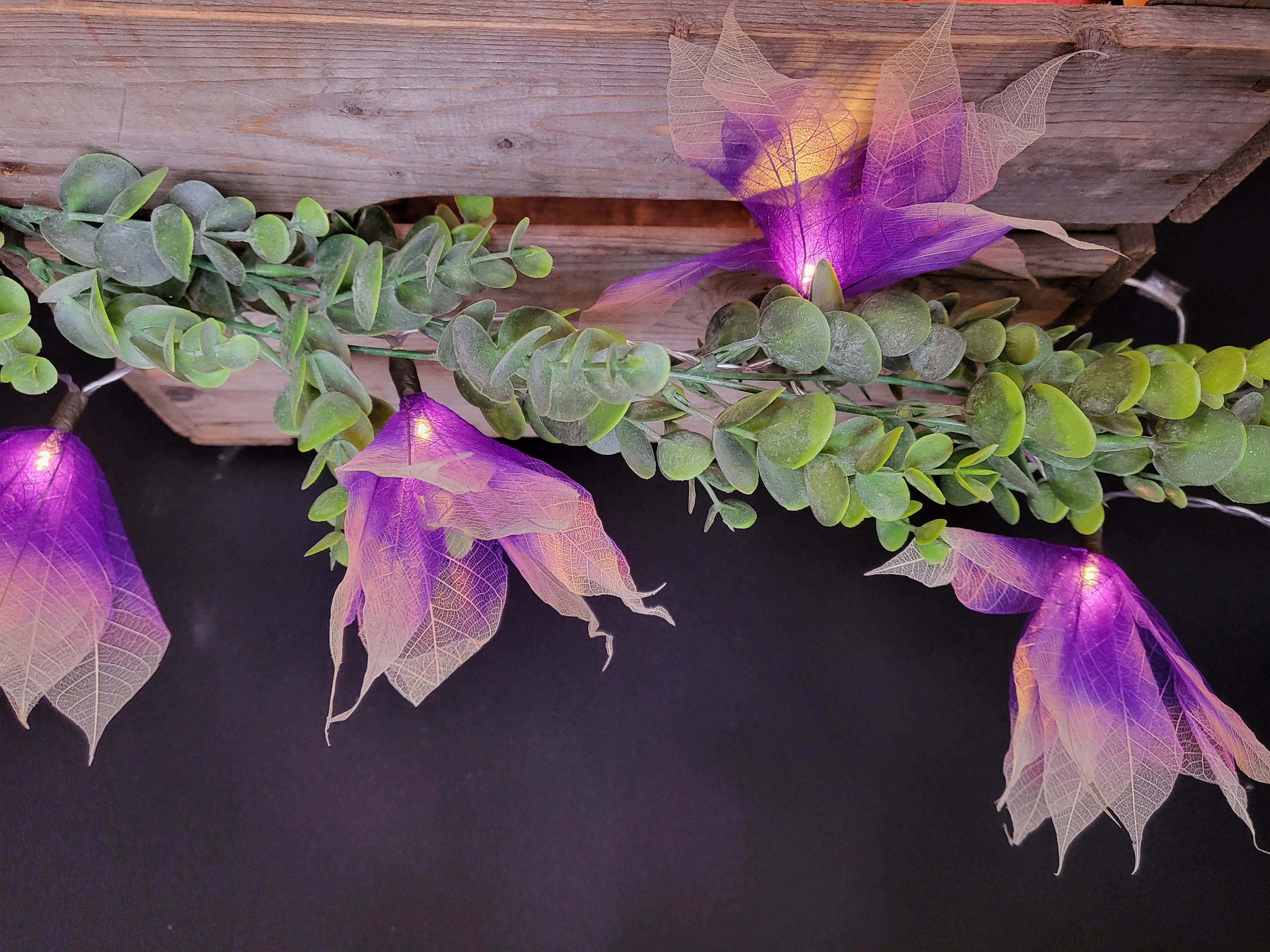 LA STAR VIOLETTE/ECRUE