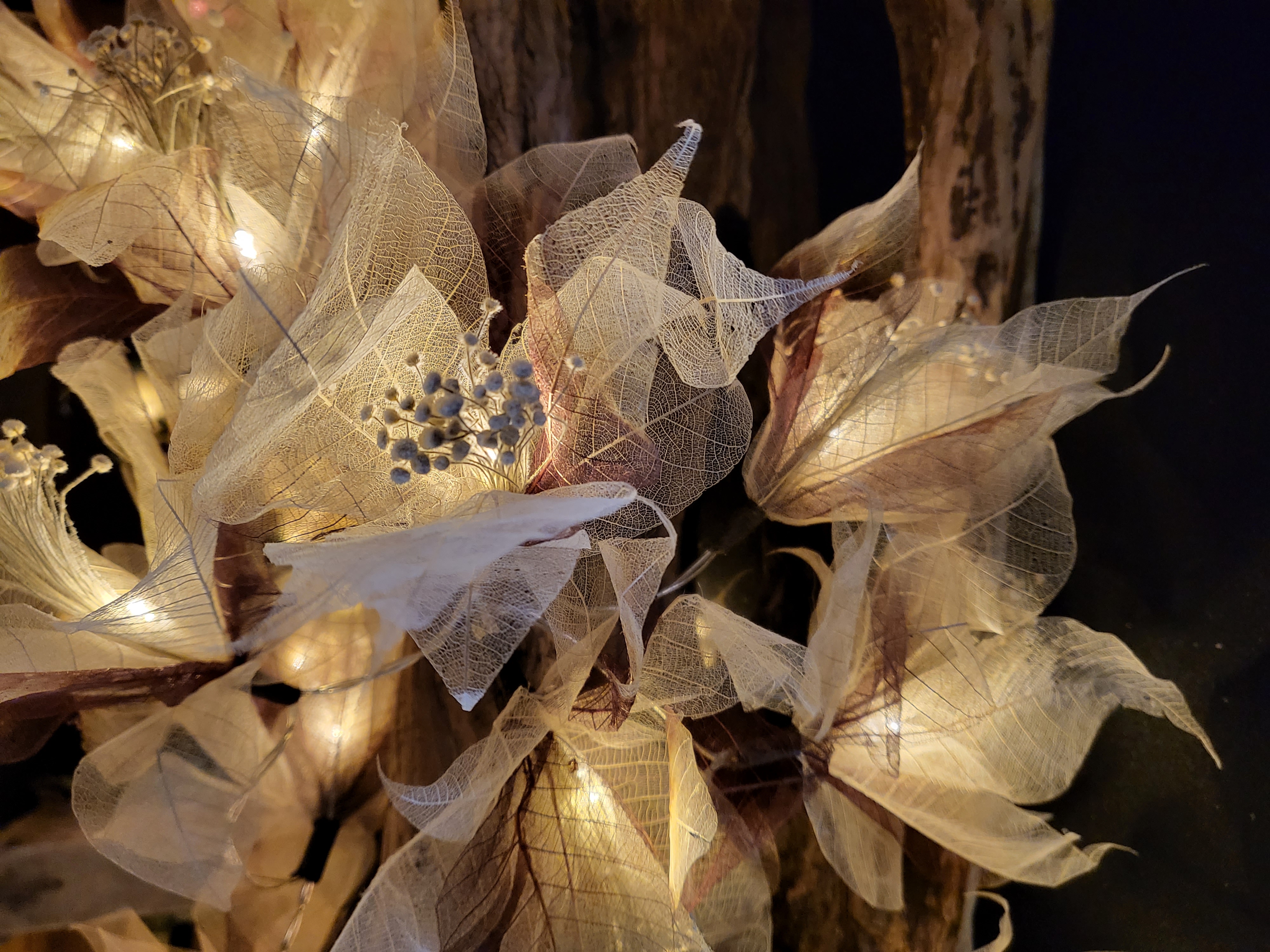 LA PISTIL MARRON/ECRUE
