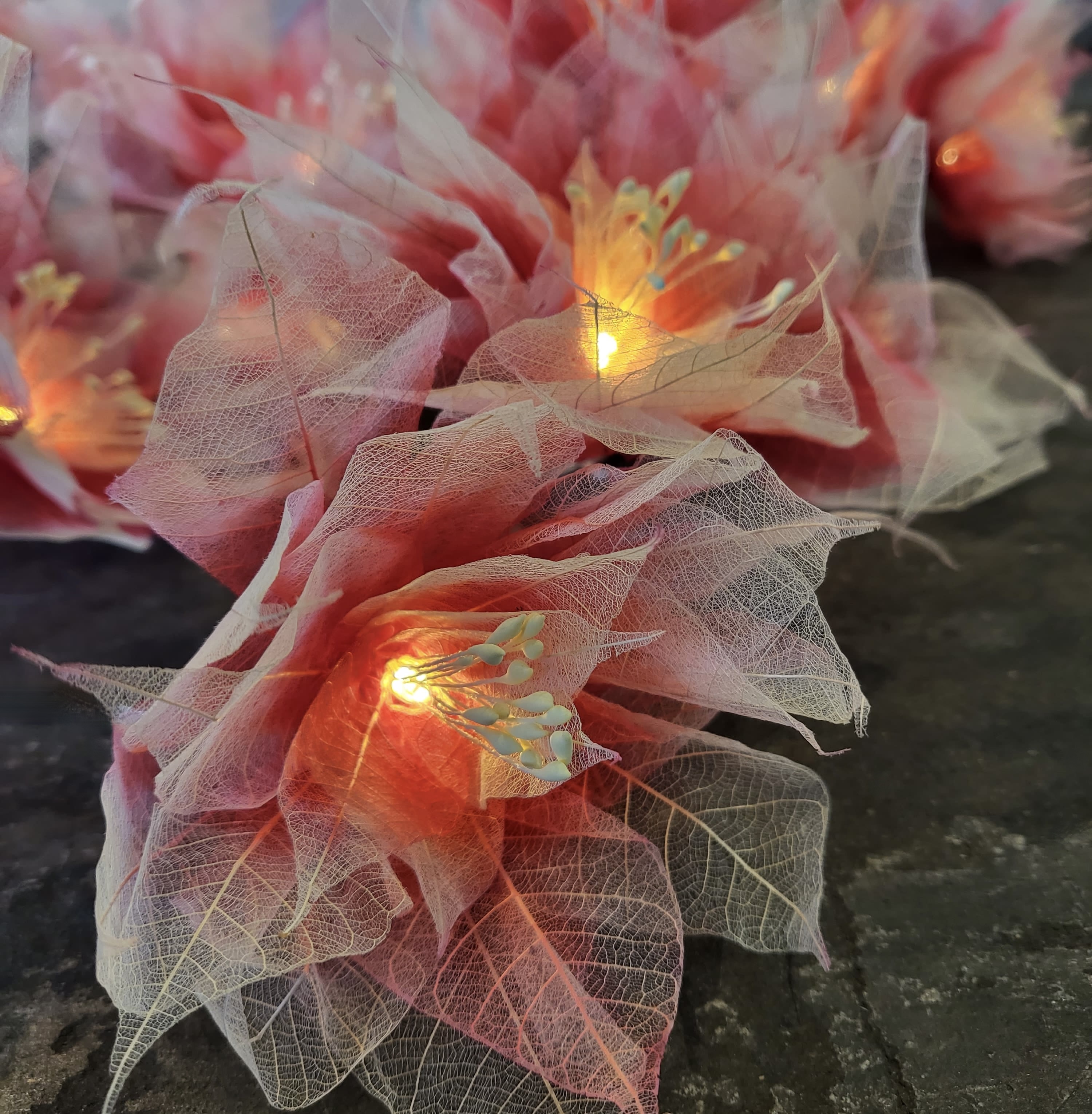 LA GERBILA ROUGE/ECRUE