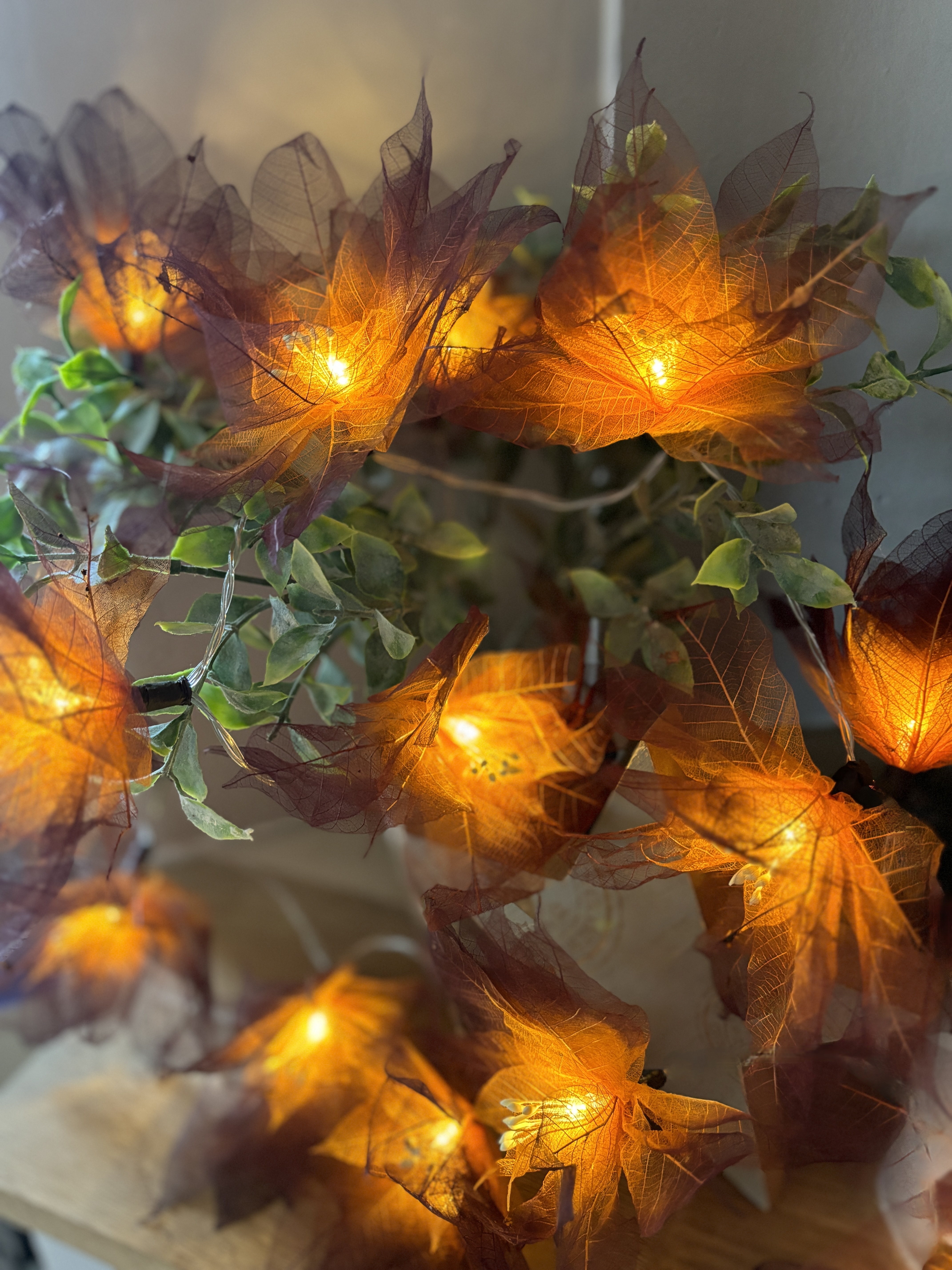 LA GERBILA ORANGE/MARRON