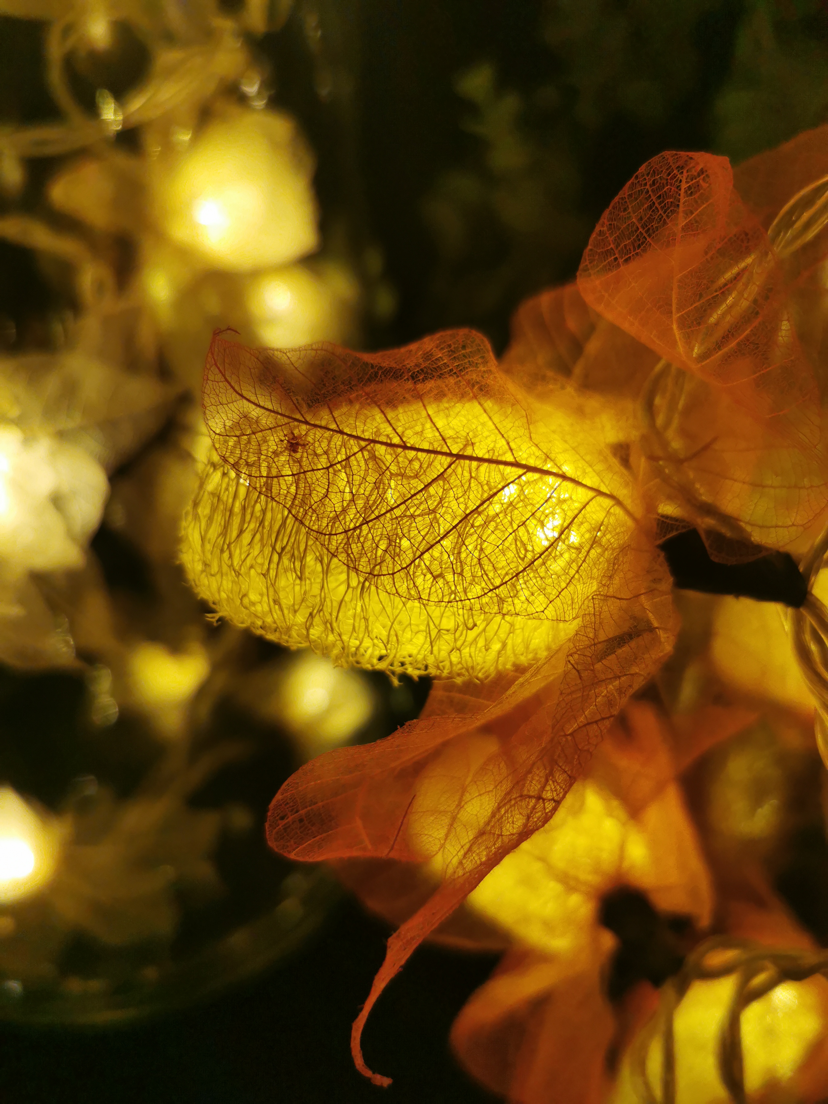 LA LOOFAH ORANGE/ROUGE