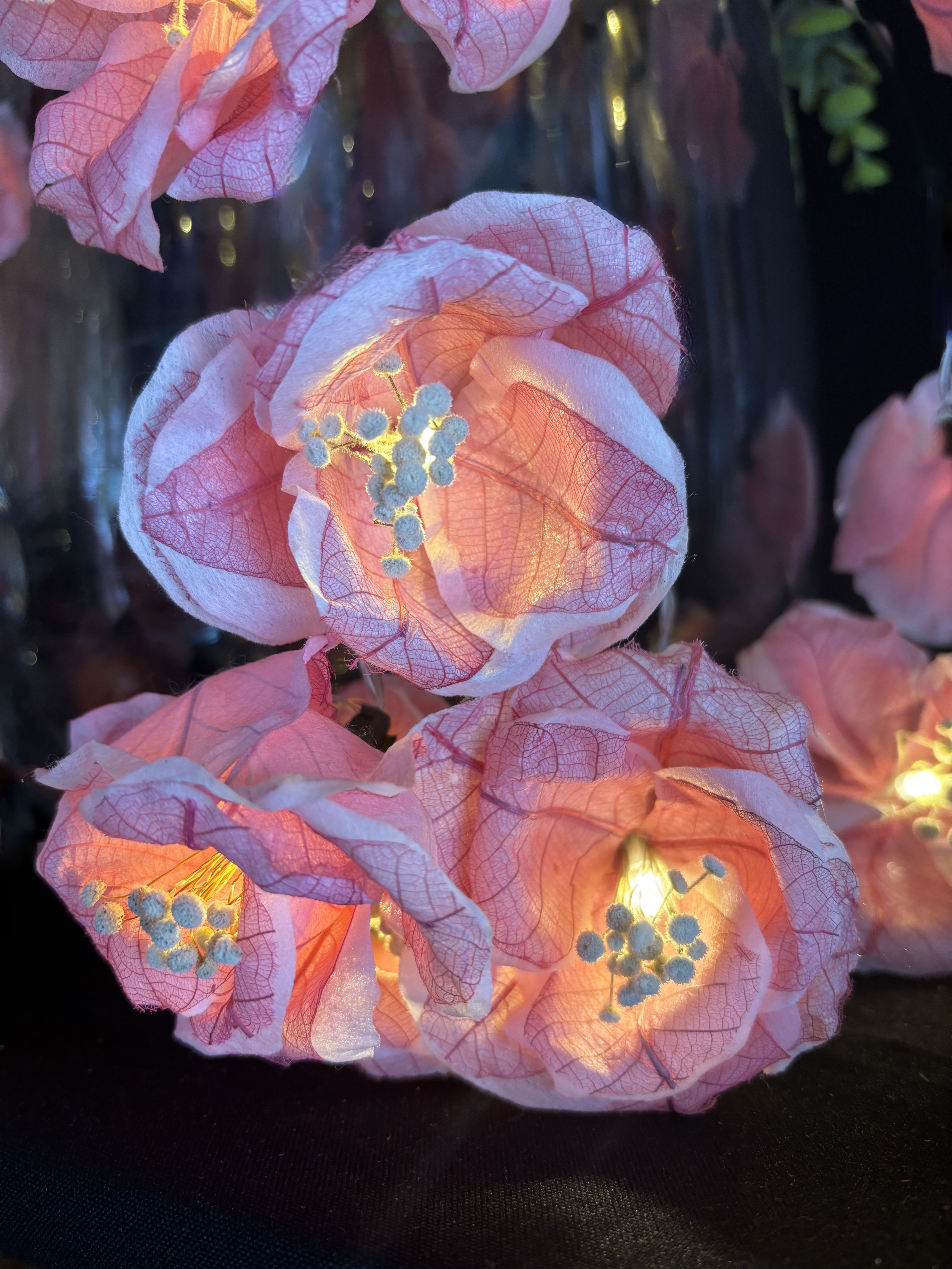 LA MURIER ROSE