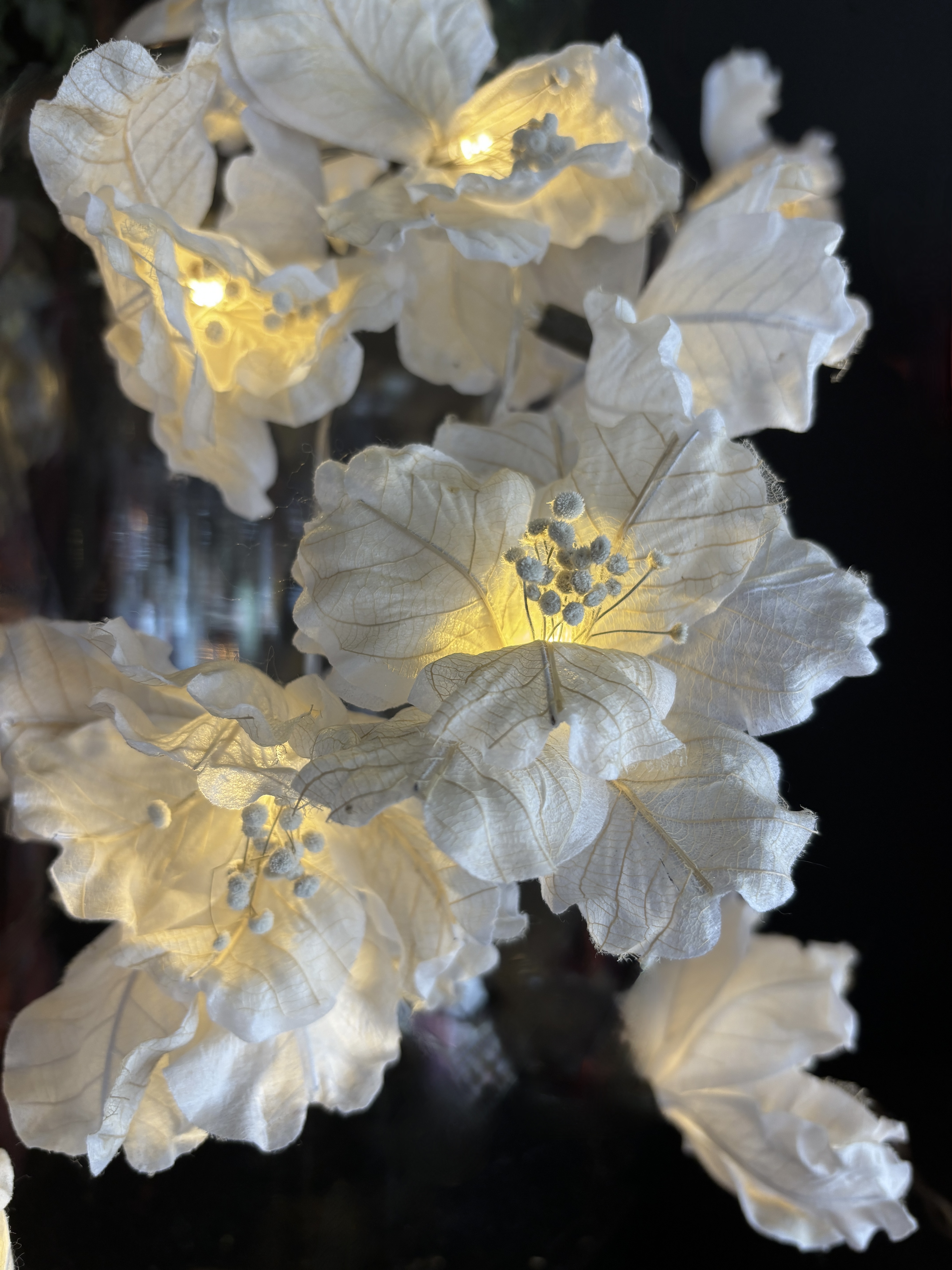 LA MURIER BLANCHE