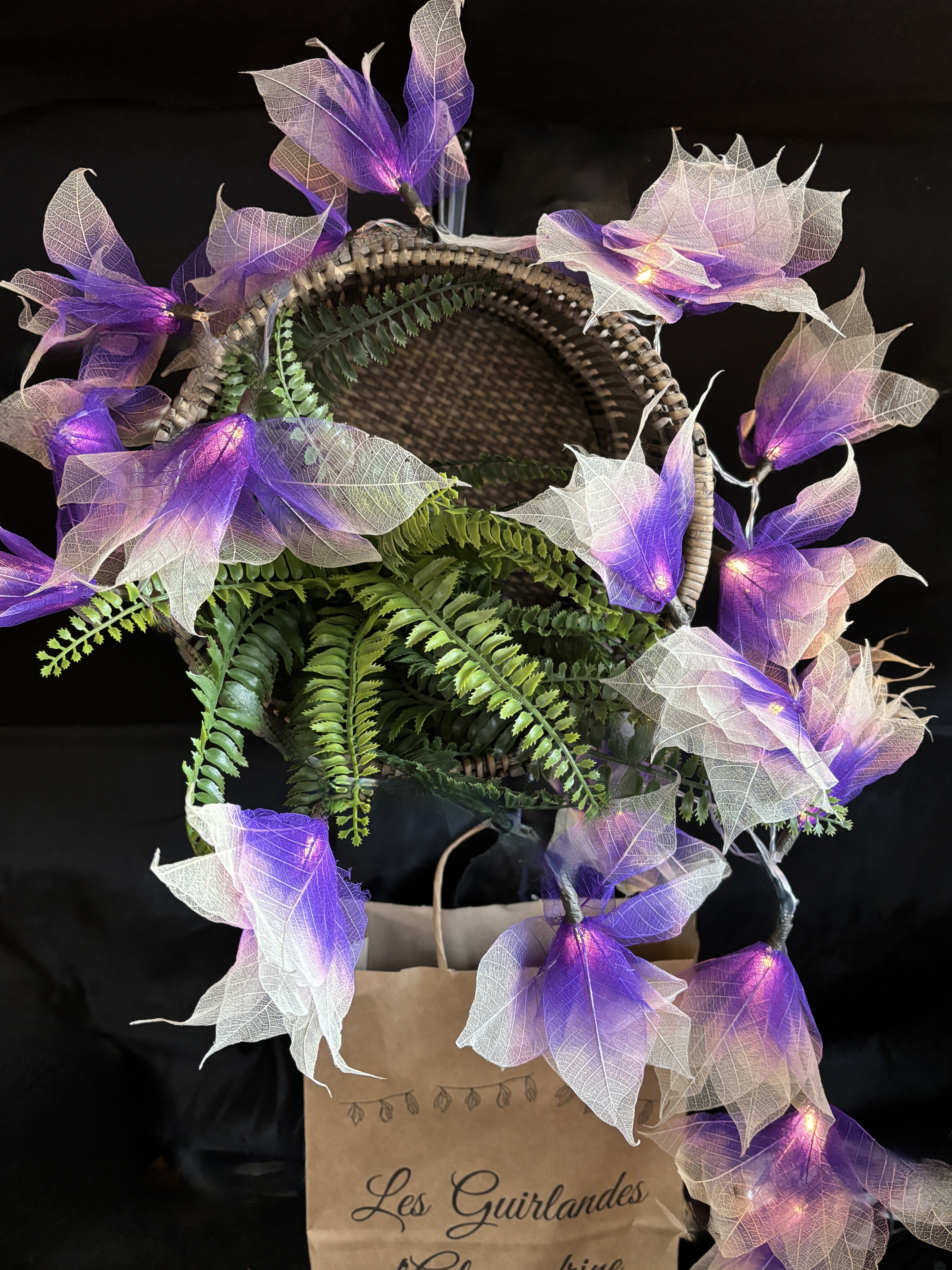 LA STAR VIOLETTE/ECRUE