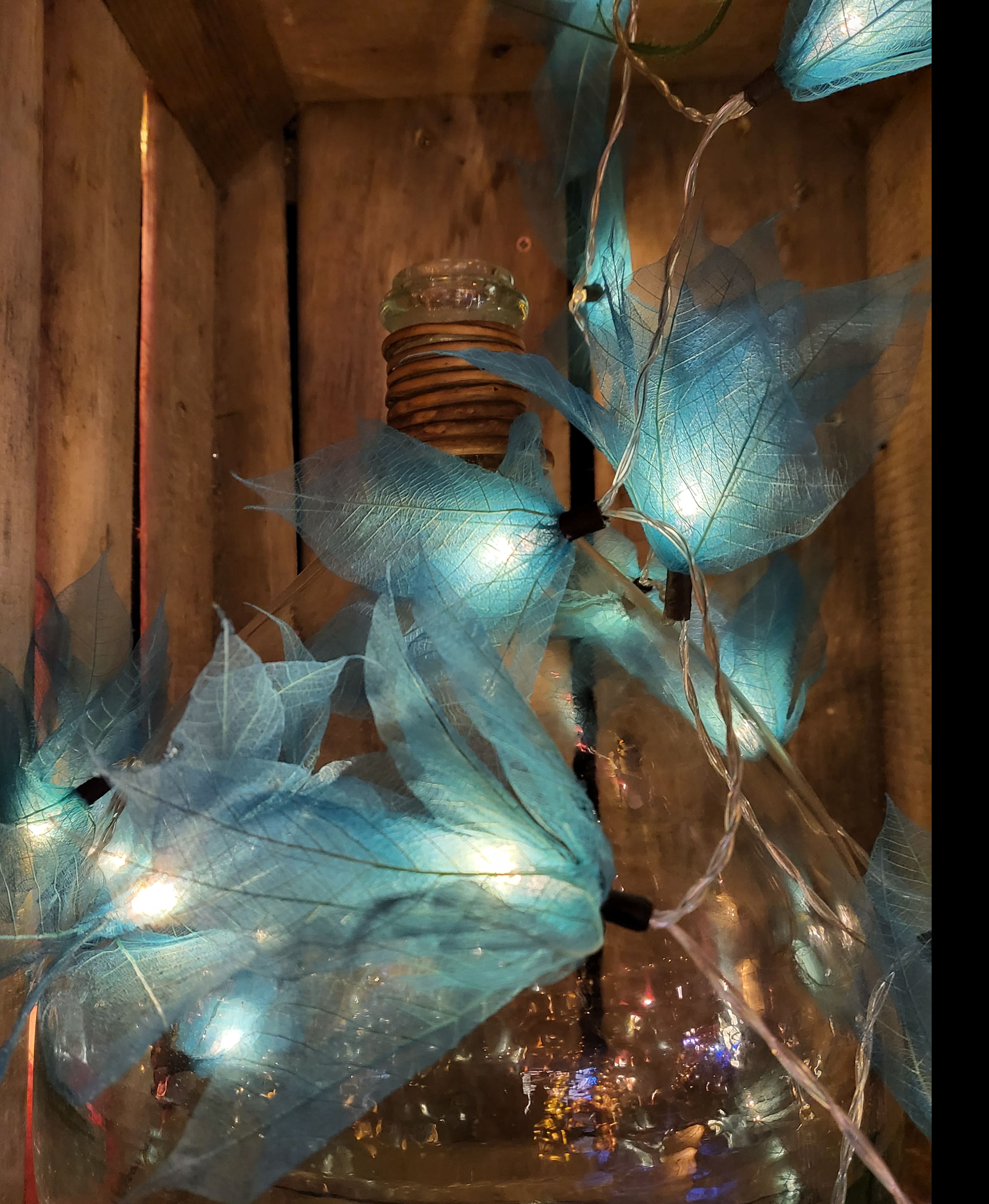 LA STAR BLEUE