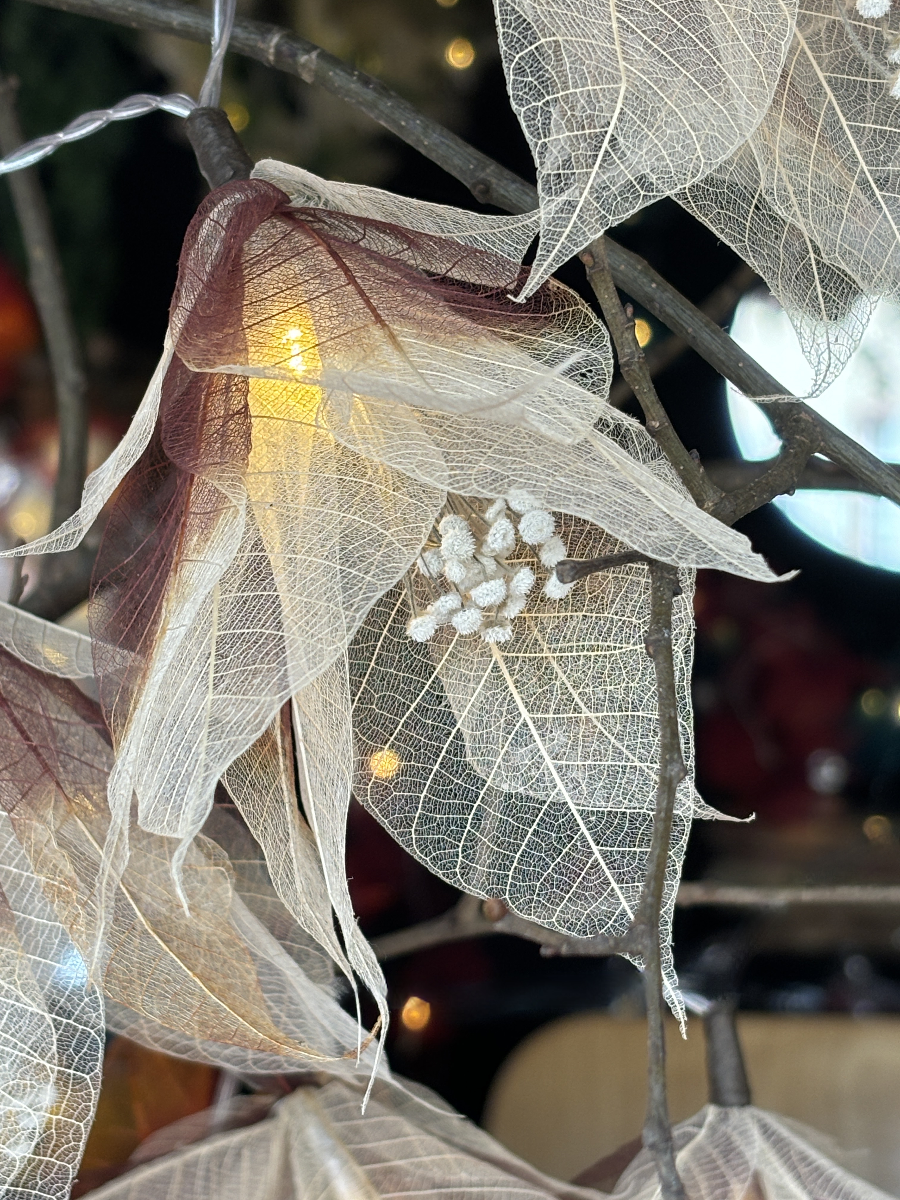 LA PISTIL MARRON/ECRUE