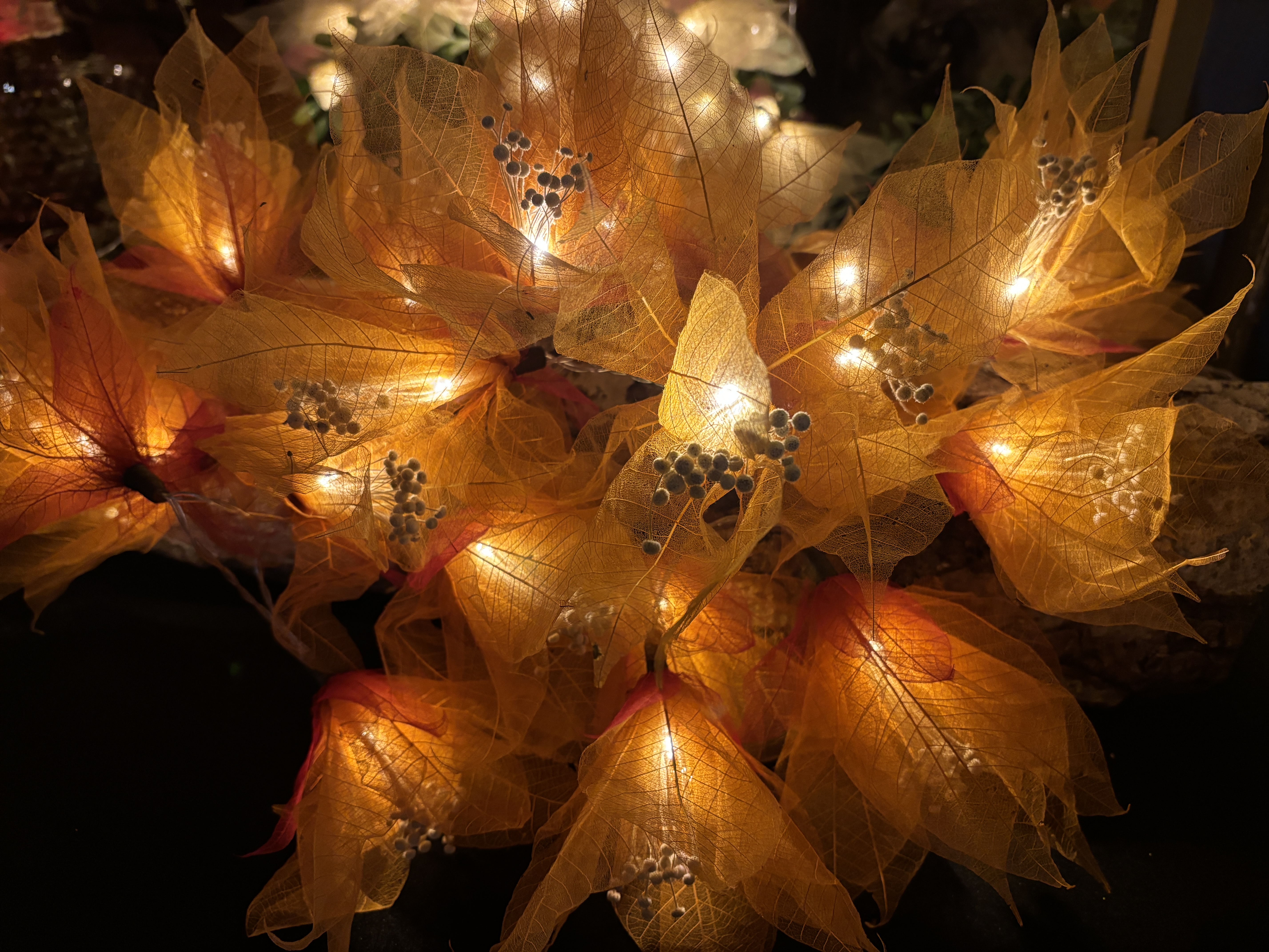 LA PISTIL ORANGE-ROUGE