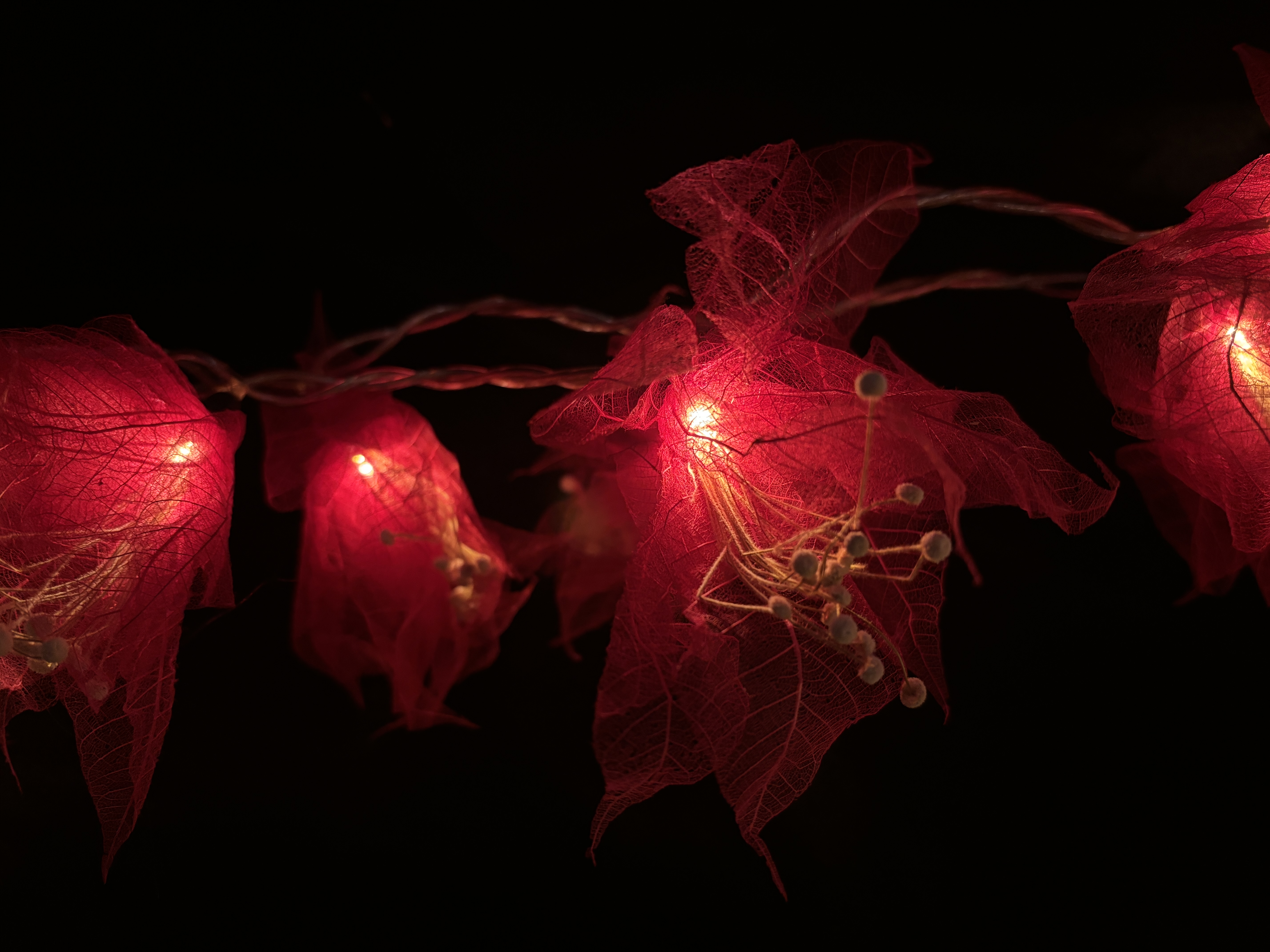 LA PISTIL ROUGE