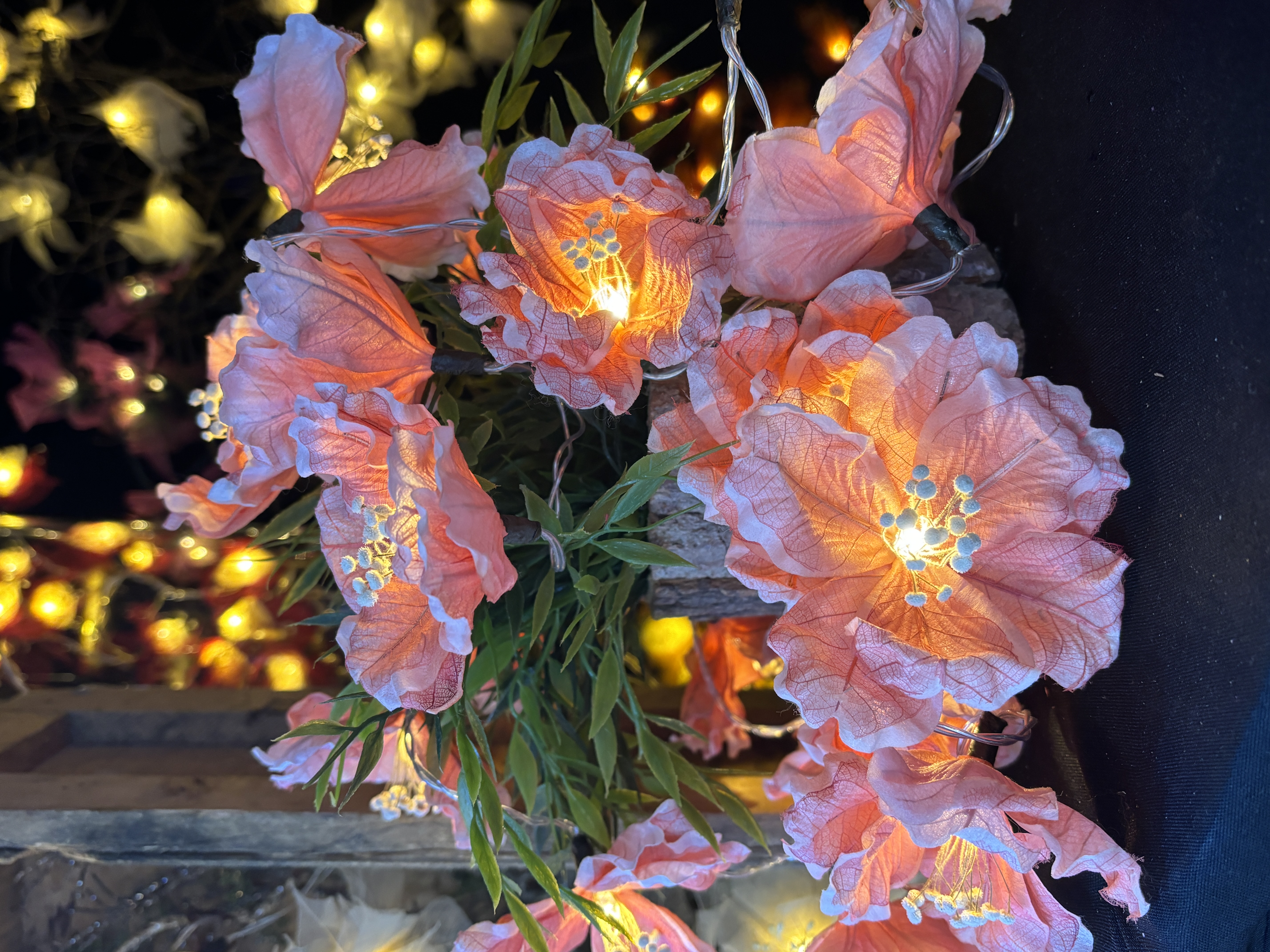 LA MURIER CORAIL