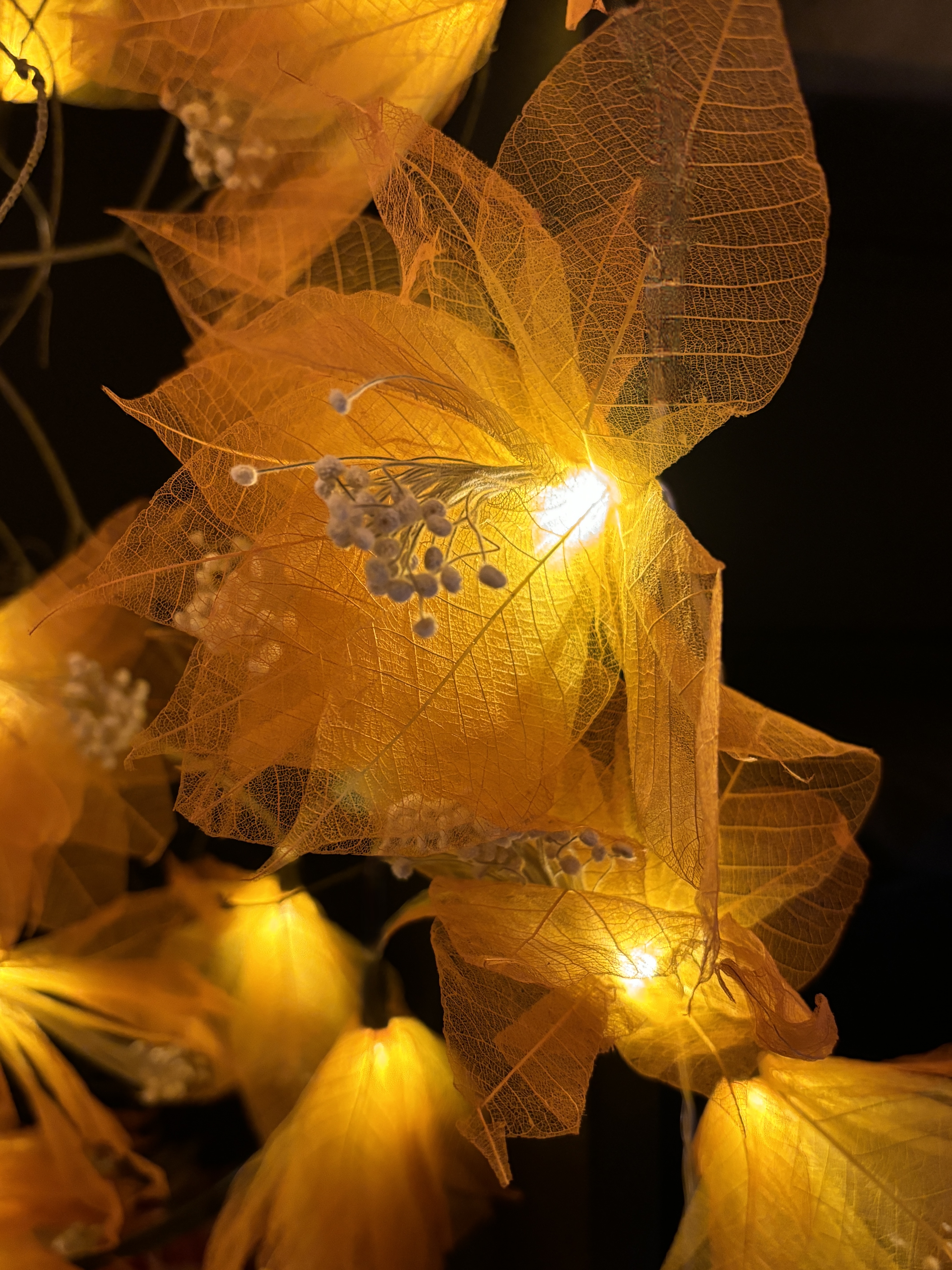 LA PISTIL JAUNE/ORANGE