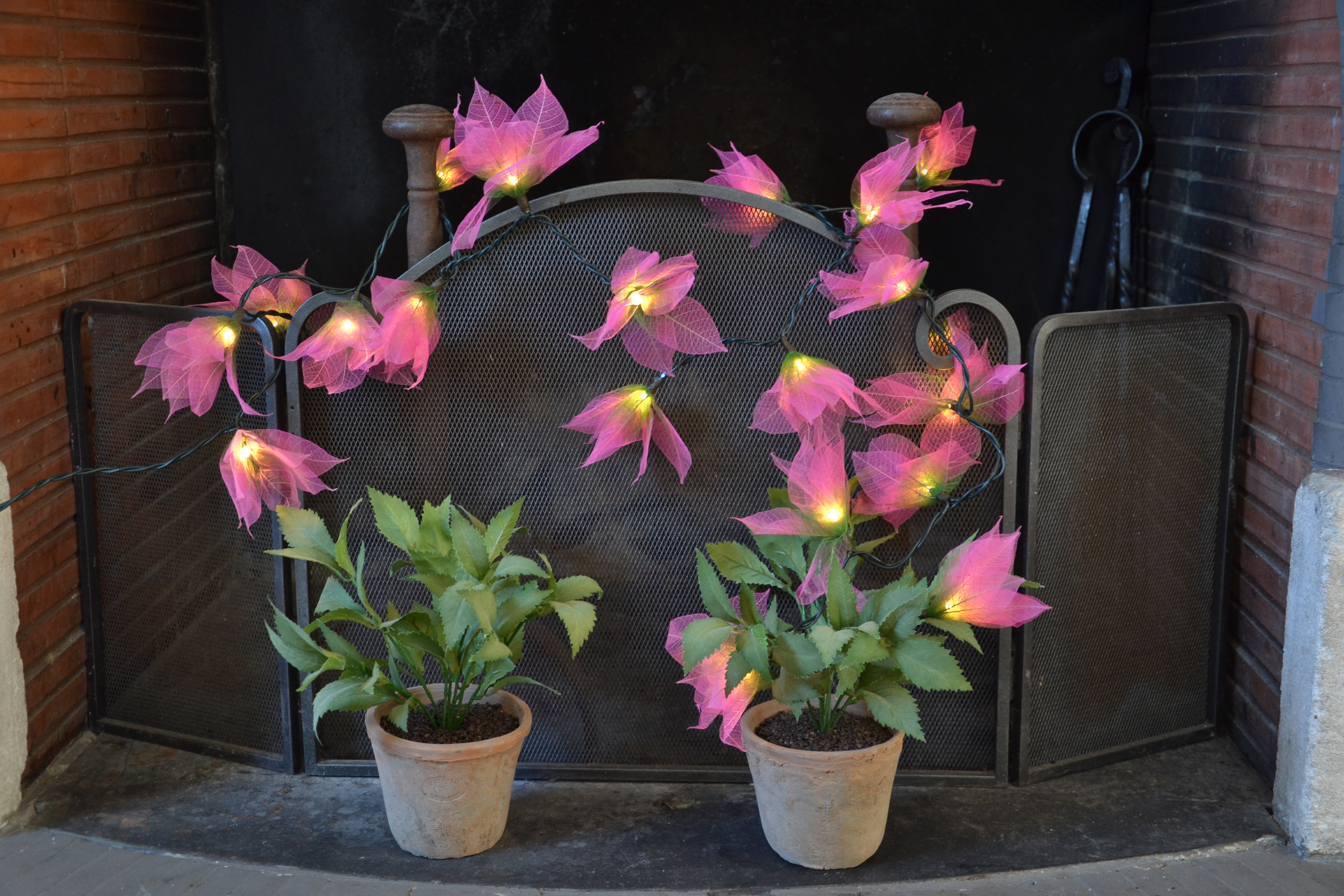 LA STAR VERTE/ROSE